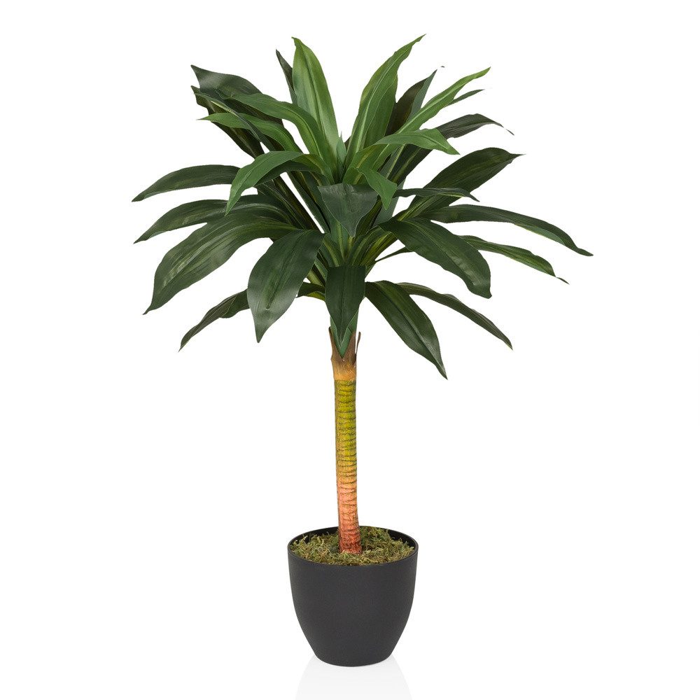 Kunstpflanze Kunstpflanze DRACAENA I Kunststoff