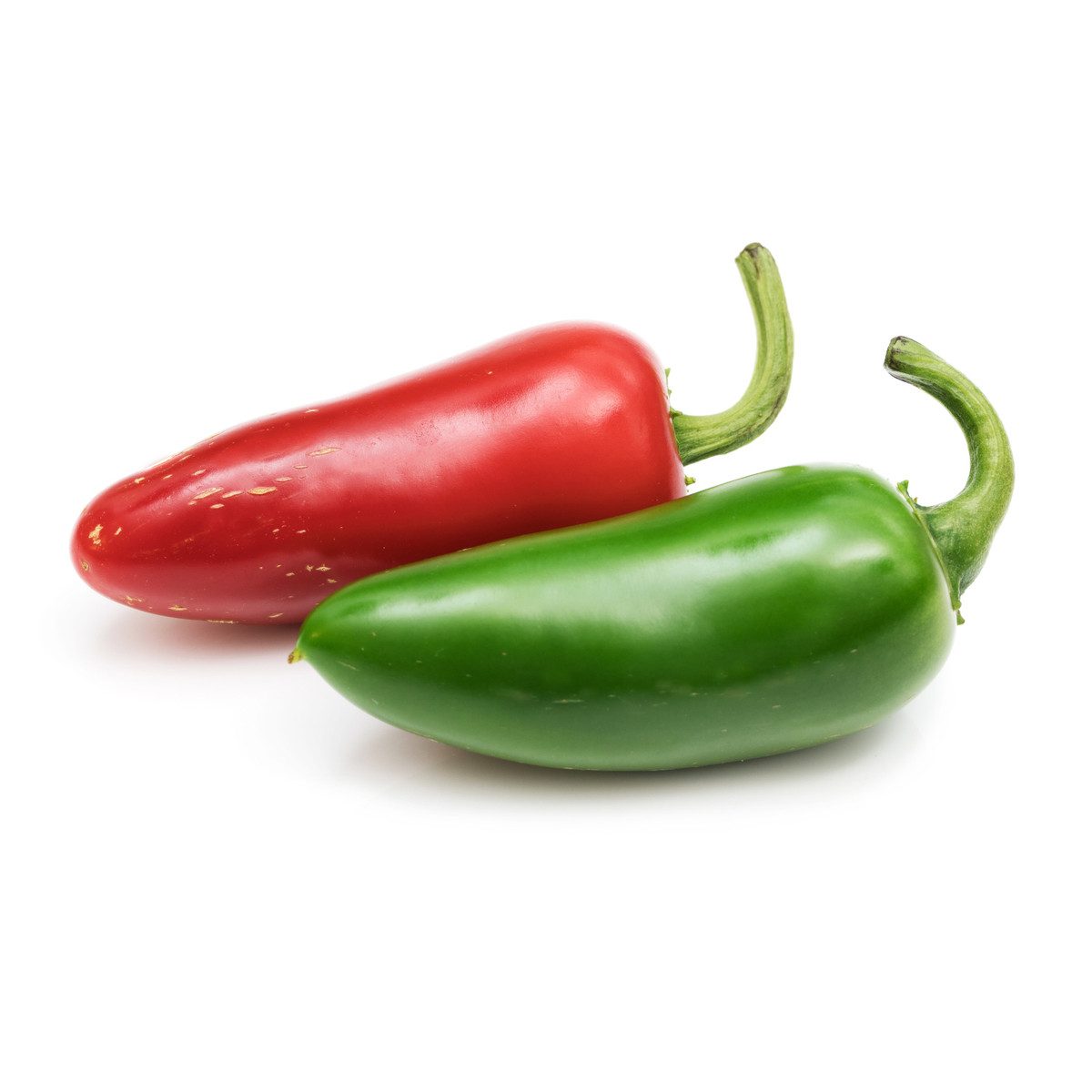 Veritable Anzuchttopf Lingot Jalapeño hot chili (1 St)