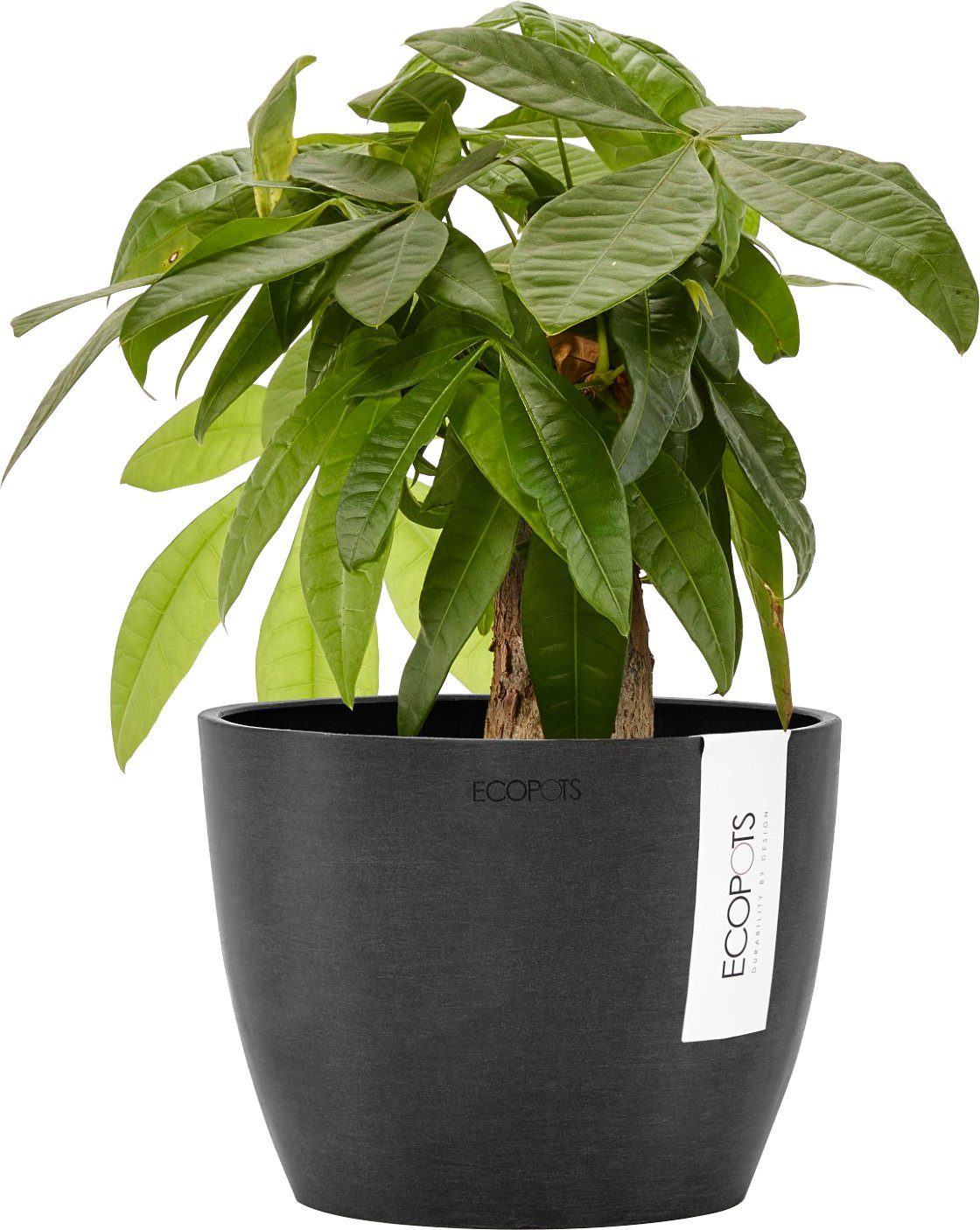 ECOPOTS Blumentopf STOCKHOLM Dark Grey, BxTxH: 16x16x12,5 cm günstig online kaufen
