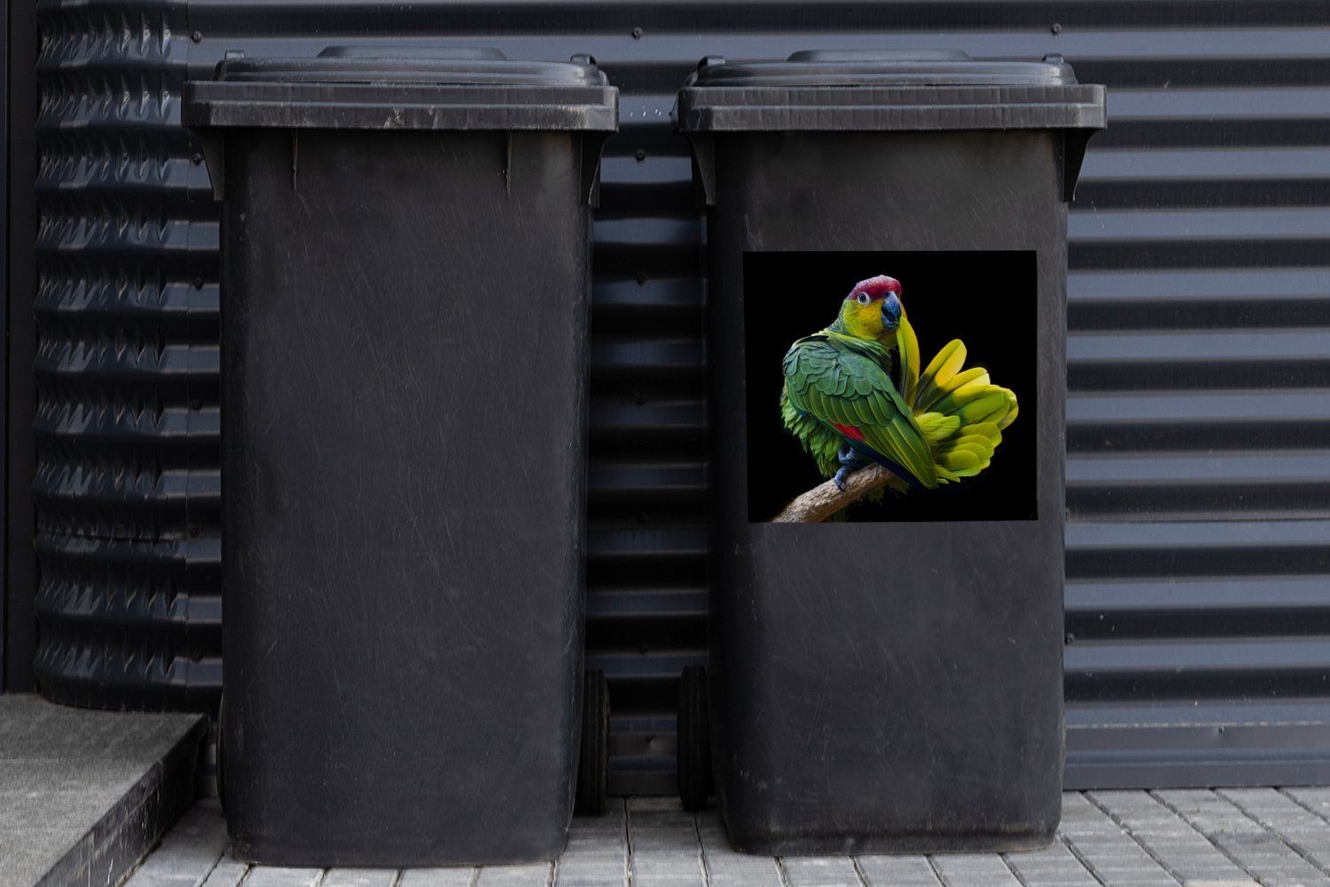 Mülltonne, Wandsticker Druck Papagei Container, Abfalbehälter Sticker, MuchoWow Mülleimer-aufkleber, (1 St),