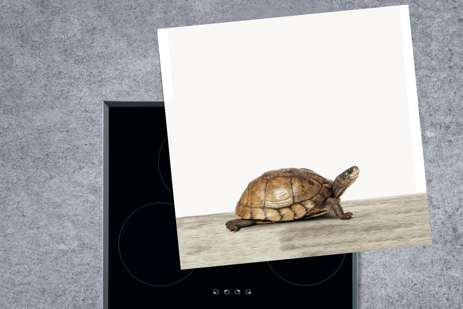 - Weiß, - Schildkröte küche 78x78 Tiere Herdblende-/Abdeckplatte Arbeitsplatte tlg), für cm, Vinyl, Ceranfeldabdeckung, MuchoWow (1
