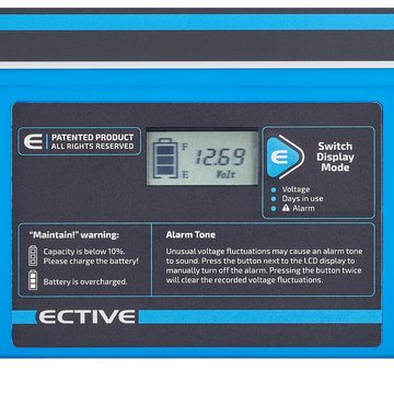 ECTIVE ECTIVE DeepCycle Blei Gel Batterie 12V 45Ah für Wohnmobil Solar Camper Batterie, (12 V)