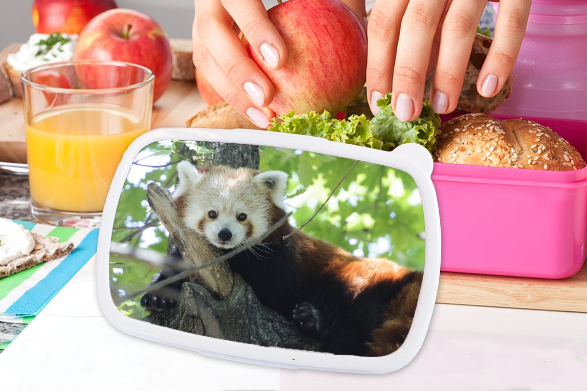 MuchoWow Baum - Erwachsene, Roter Grün, Kunststoff, für Snackbox, Panda Mädchen, Kunststoff Brotdose (2-tlg), - Lunchbox Kinder, Brotbox rosa