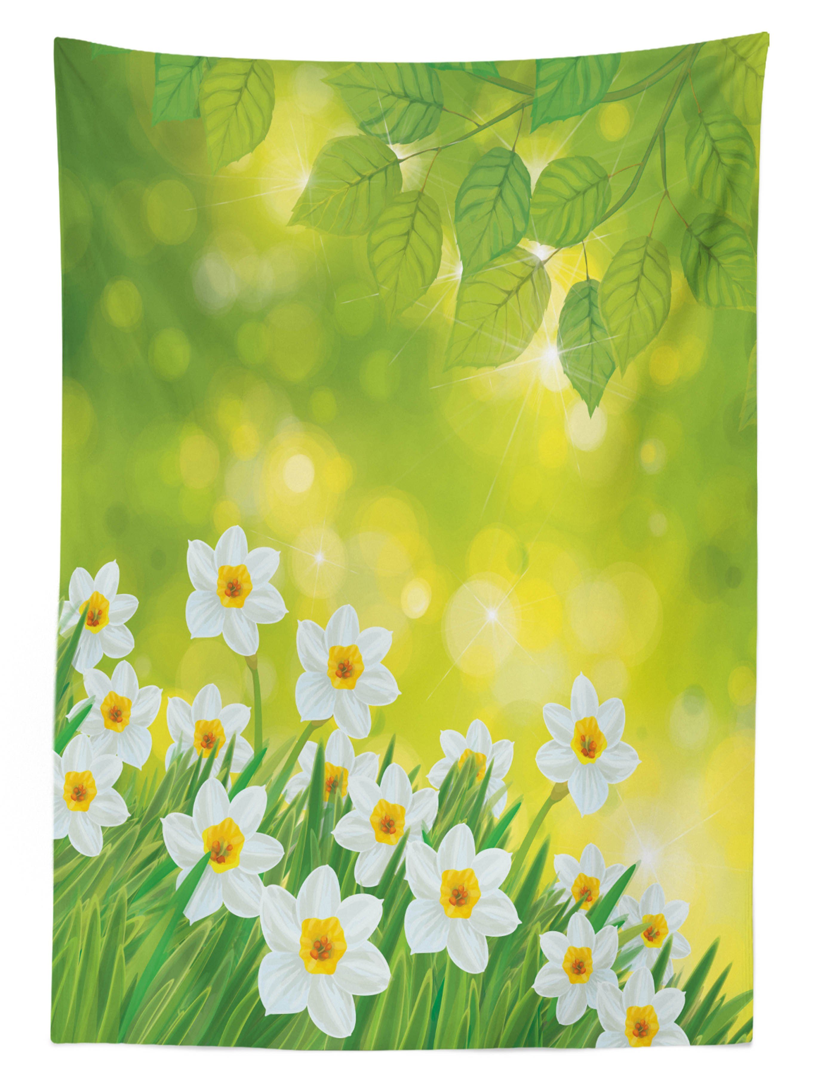 Abakuhaus Tischdecke Farbfest Außen Frühlings-Blumenblätter Waschbar Blumen Farben, Klare Bereich den geeignet Narzissen Für