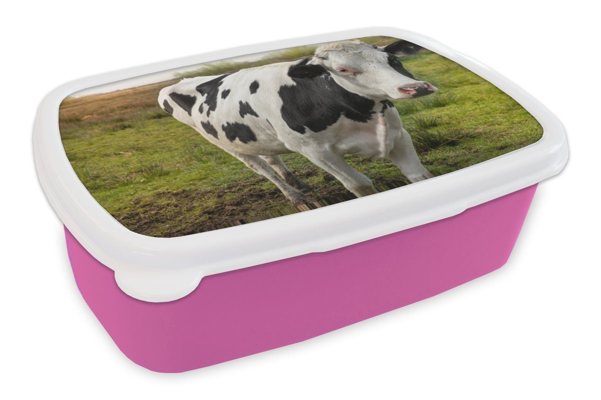 Kuh Brotbox Lunchbox MuchoWow (2-tlg), Kunststoff rosa - - Mädchen, Erwachsene, Porträt Brotdose für Kinder, Friesisch, Snackbox, Kunststoff,