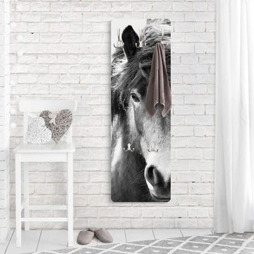 Bilderdepot24 Garderobenpaneel schwarz-weiß Tiere Island Pferd in Schwarz-weiß Design (ausgefallenes Flur Wandpaneel mit Garderobenhaken Kleiderhaken hängend), moderne Wandgarderobe - Flurgarderobe im schmalen Hakenpaneel Design