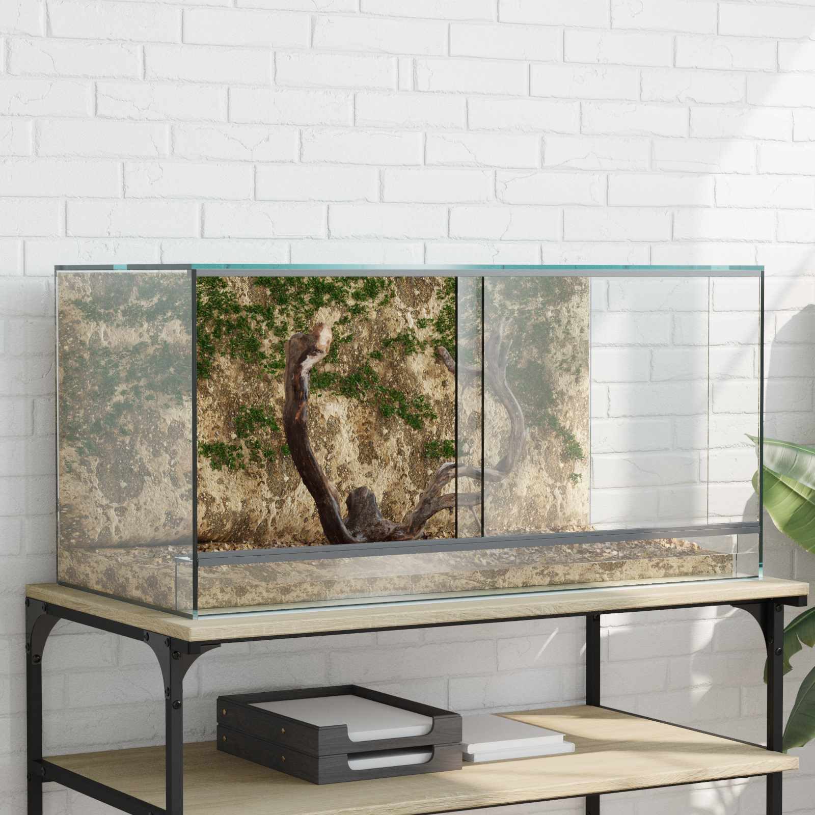 vidaXL Terrarium 80 x 40 x 40 cm Terrarium für Reptilien und Amphibien 80x40x40 cm aus