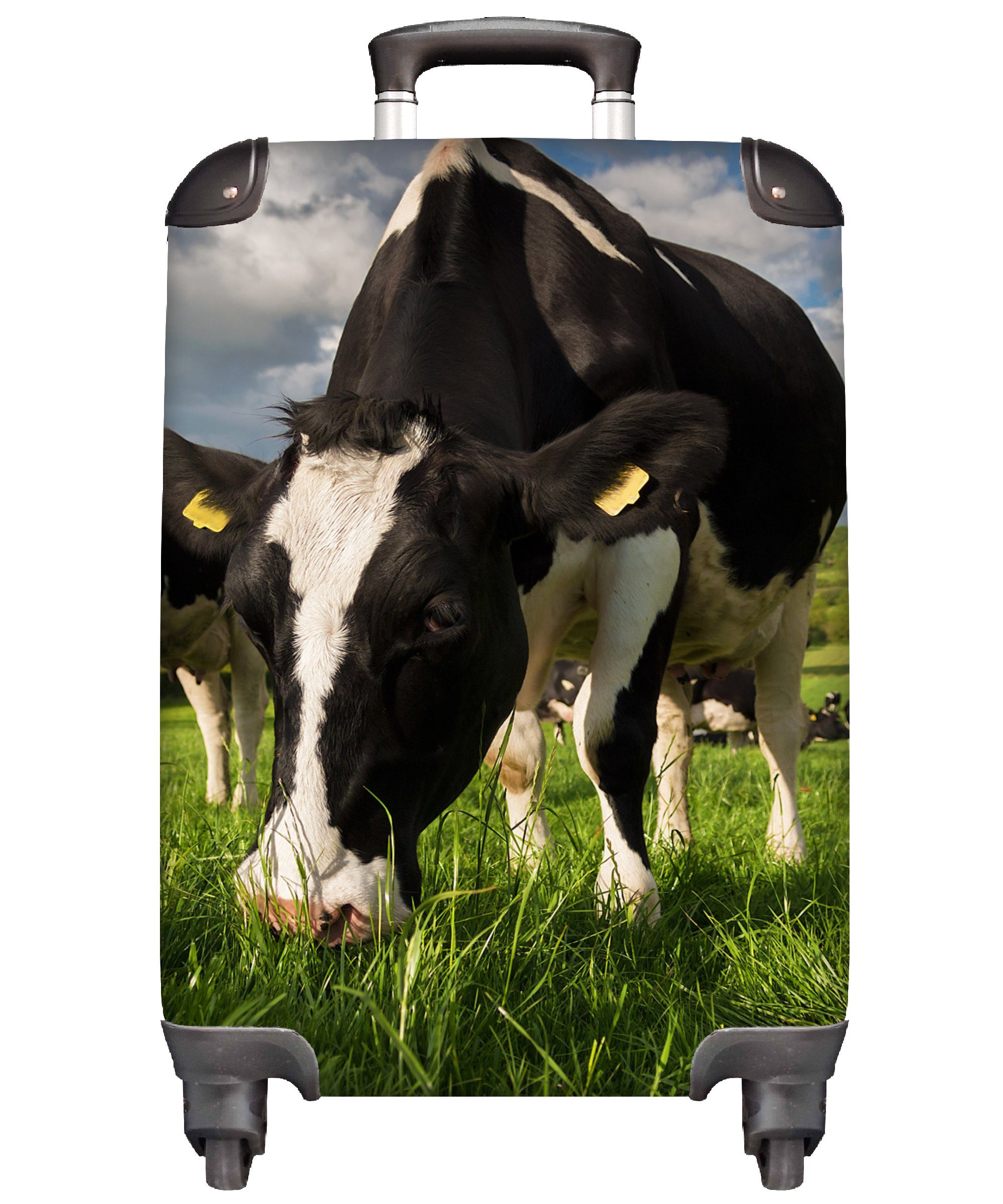Bauernhof, Trolley, für Reisetasche Handgepäck - Wiese 4 MuchoWow Tiere mit Reisekoffer - Handgepäckkoffer Ferien, Rollen, - Gras rollen, - Kühe