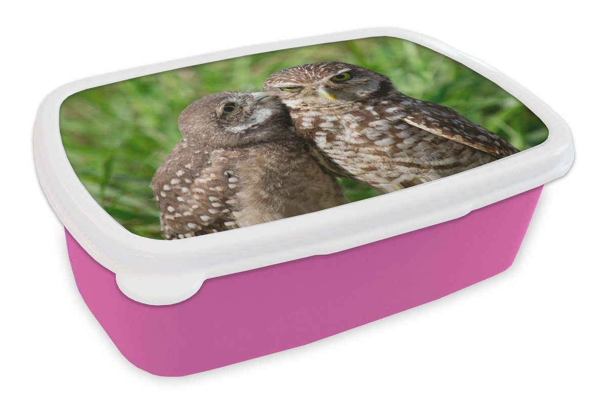 MuchoWow Lunchbox Eulen - Vögel - Gras, Kunststoff, (2-tlg), Brotbox für Erwachsene, Brotdose Kinder, Snackbox, Mädchen, Kunststoff rosa