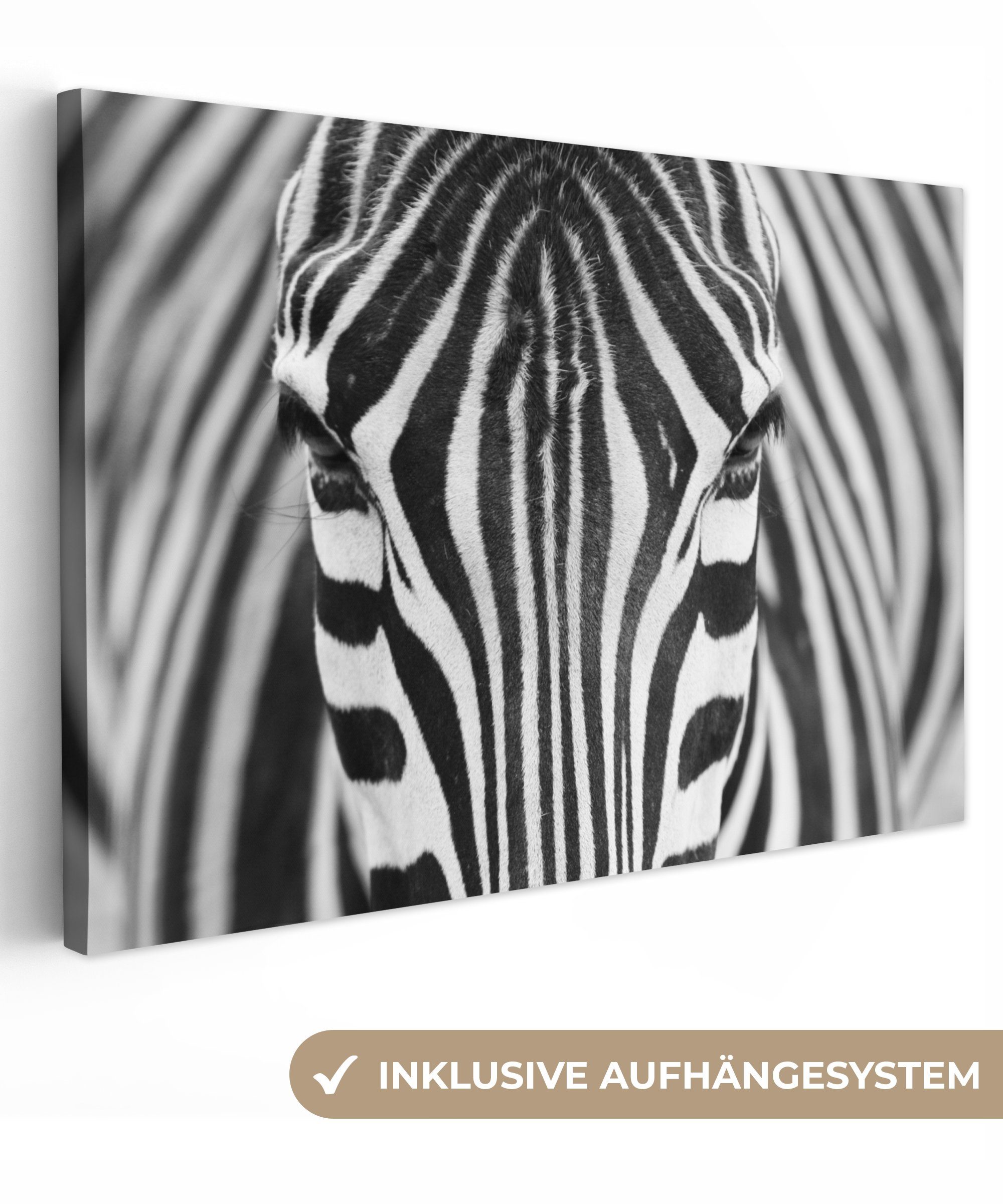 OneMillionCanvasses® Leinwandbild Zebra - Tiere - Schwarz und weiß - Porträ günstig online kaufen