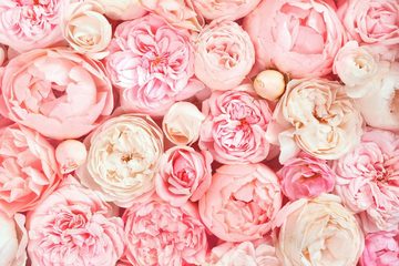 A.S. Création Leinwandbild Roses, Blumen (1 St), Romantische Rosen Rosenbild Keilrahmen