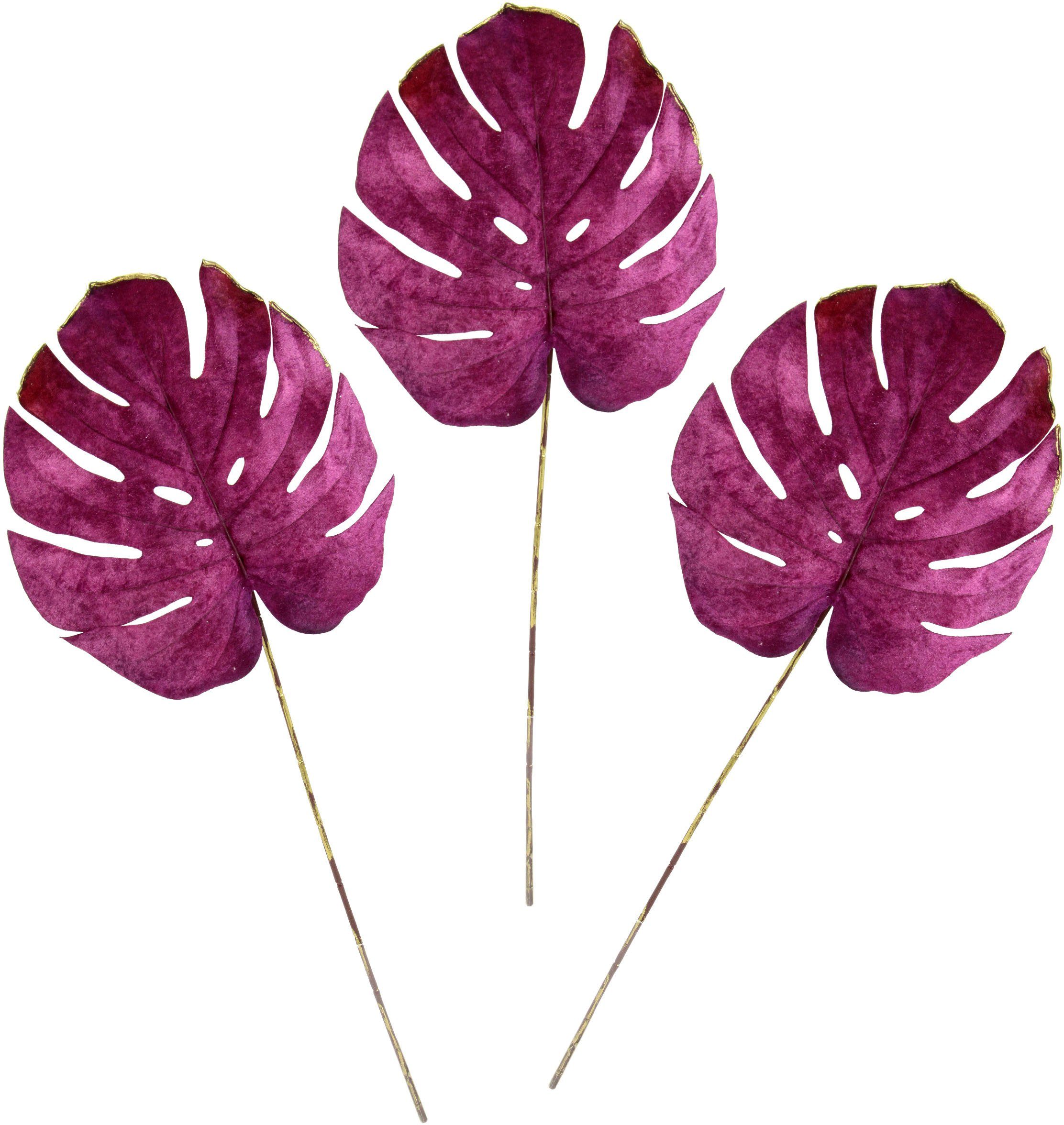 Kunstblume Splitphiloblatt