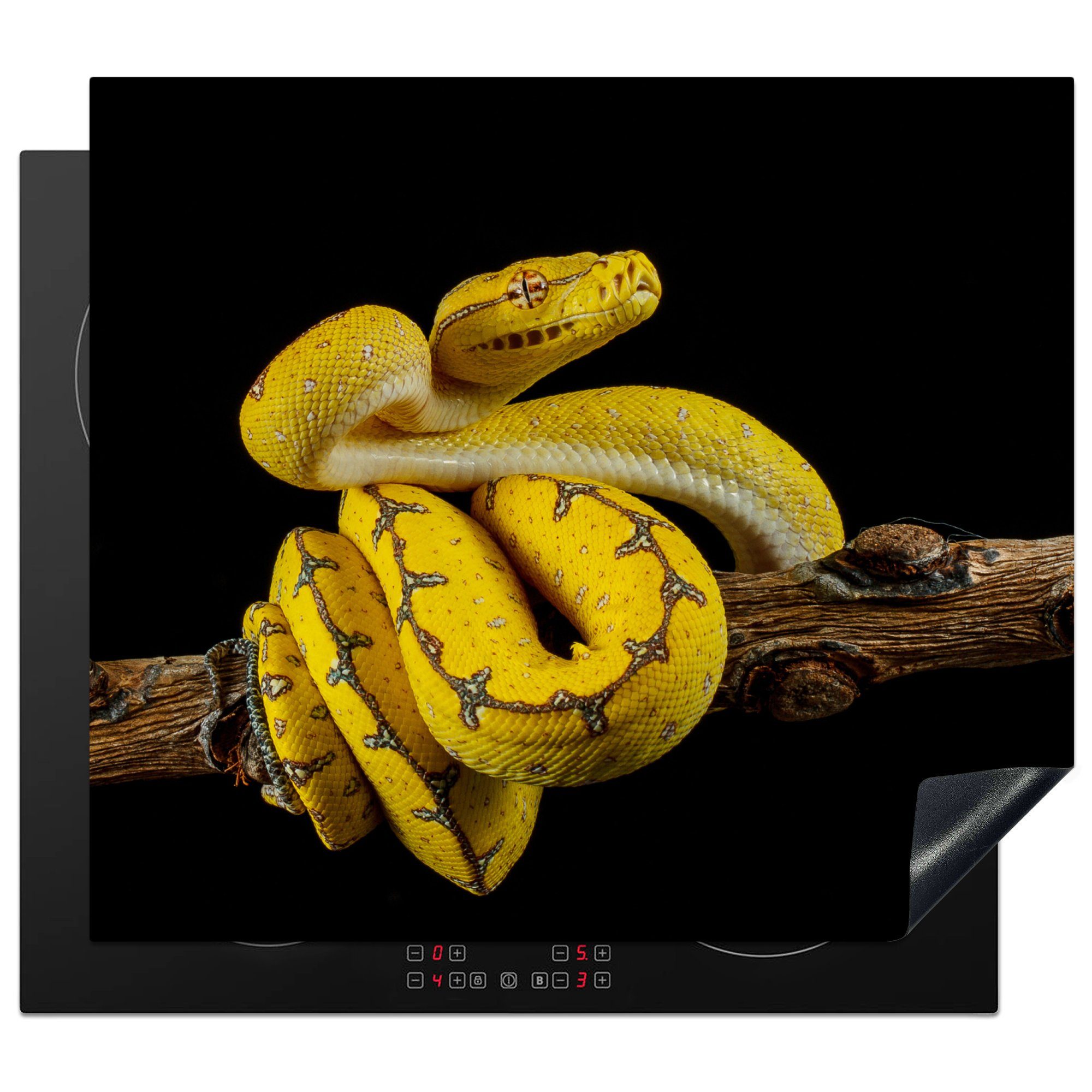 MuchoWow Herdblende-/Abdeckplatte Eine gelbe Schlange vor schwarzem Hintergrund, Vinyl, (1 tlg), 60x52 cm, Mobile Arbeitsfläche nutzbar, Ceranfeldabdeckung