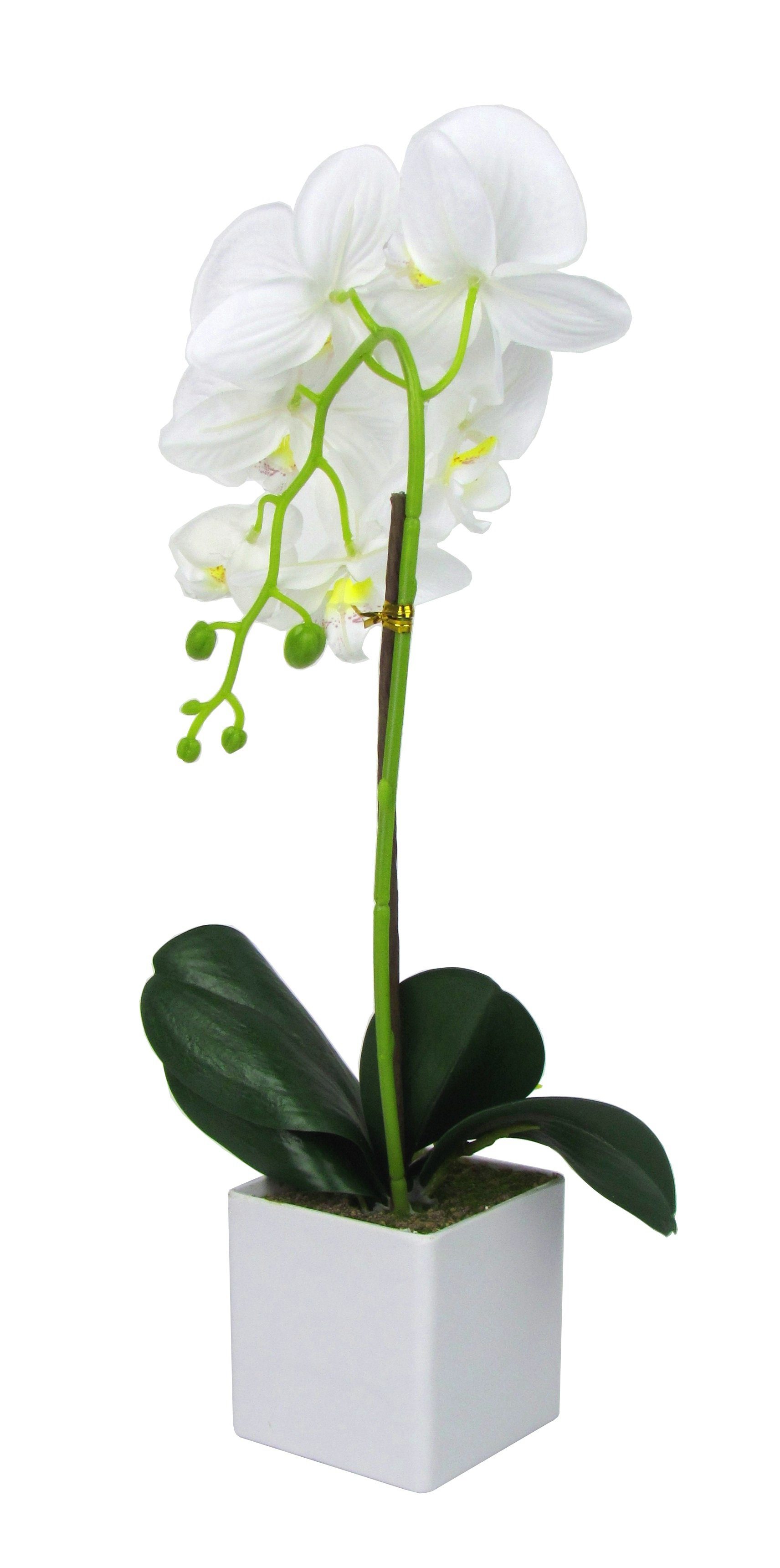 Kunstblume Kunst Orchidee im rechteckigen Topf – Farbecht - Pflegeleicht Orchidee, Ibergarden, Höhe 40 cm, Verschiedene Farben und Größen