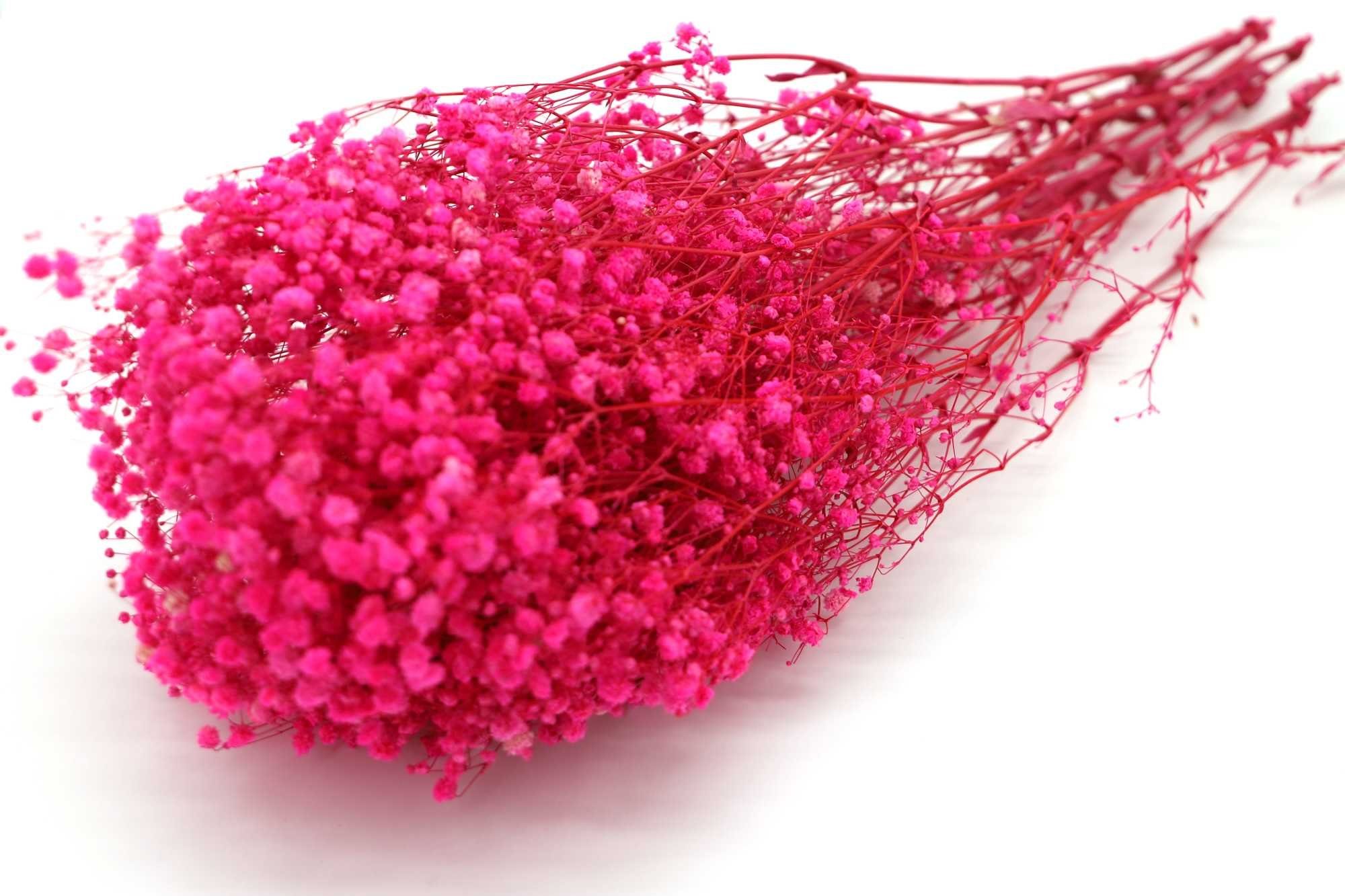 Trockenblume Gypsophila "Babys Breath" in verschiedenen Farben - Pink, Kunstharz.Art