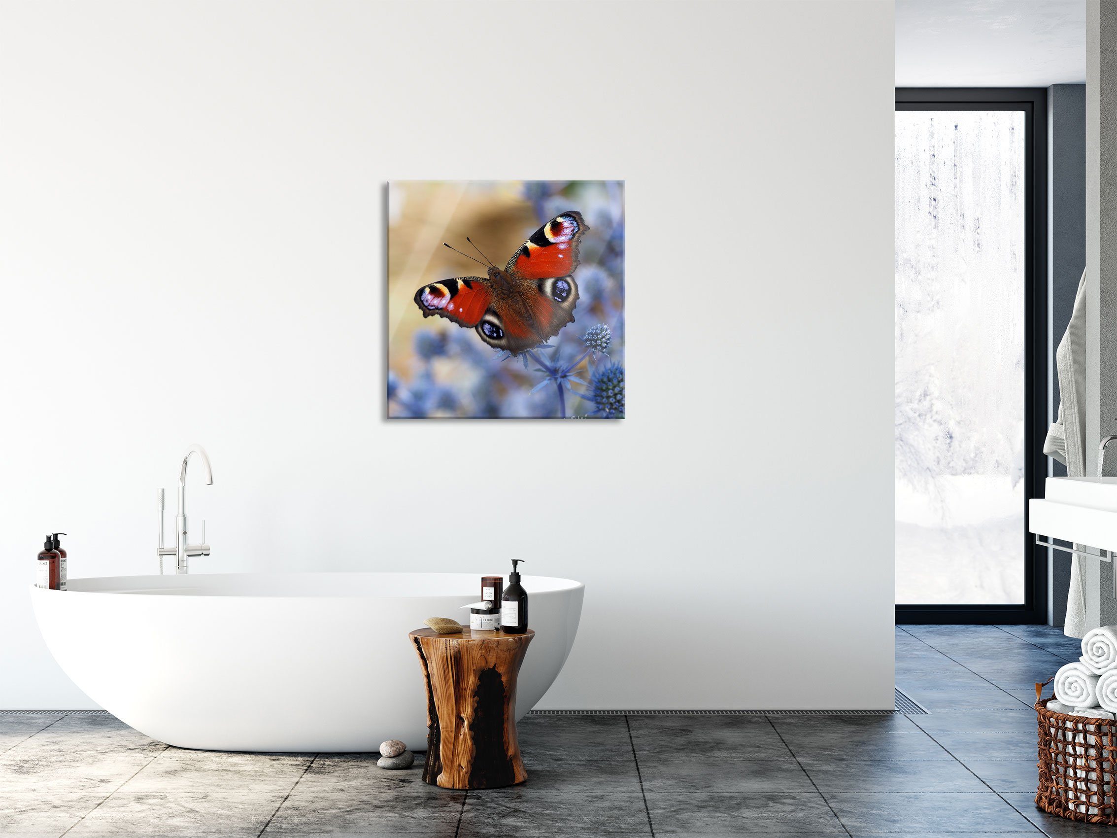 Schöner Schmetterling inkl. Glasbild (1 Pfauenauge Abstandshalter Pixxprint Pfauenauge, Schmetterling Echtglas, aus Schöner Glasbild St), Aufhängungen und