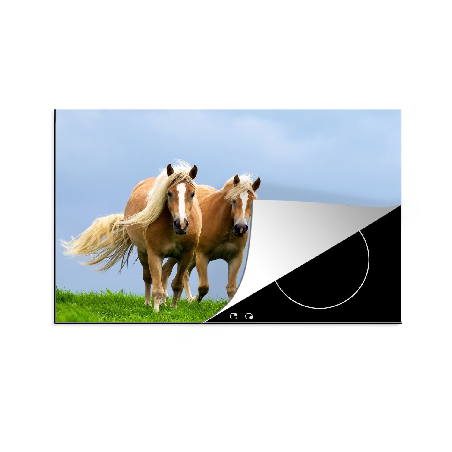 MuchoWow Herdblende-/Abdeckplatte Pferde - Gras - Luft, Vinyl, (1 tlg), 81x52 cm, Induktionskochfeld Schutz für die küche, Ceranfeldabdeckung
