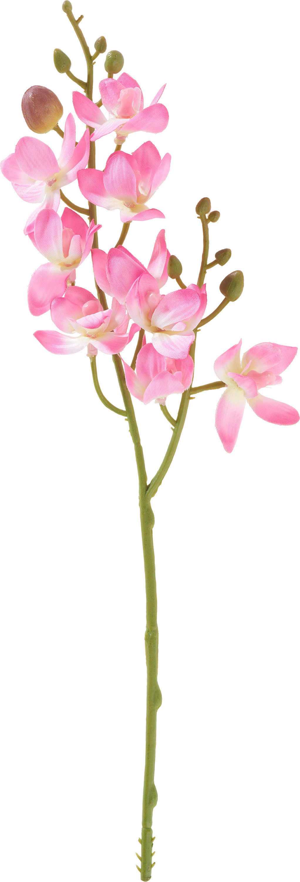Kunstblume Mini Orchidee Phalaenopsis, DPI günstig online kaufen