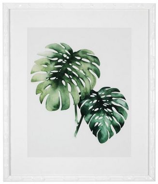 Casa Padrino Bilderrahmen Bilder / Kunstdruck Set Tropische Pflanzen Grün / Weiß 59 x H. 69 cm - Luxus Deko