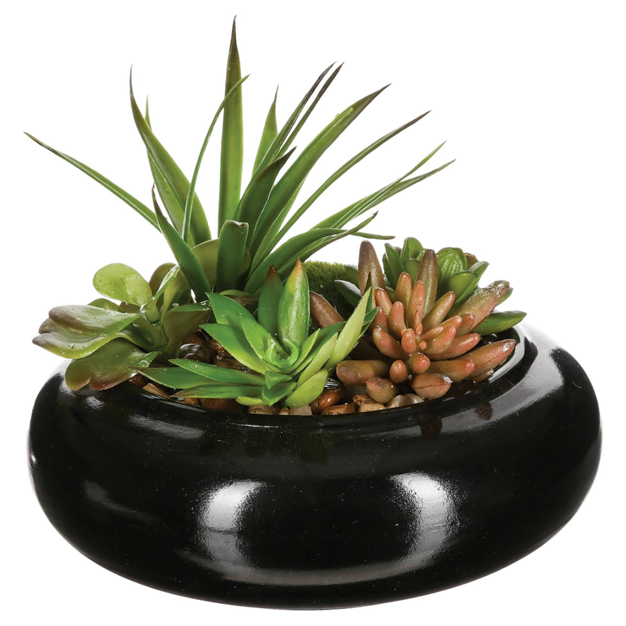 Kunstpflanze Kunstpflanzen, Ø 20 cm, Kombination aus Sukkulenten Zimmerpflanze, Atmosphera Créateur d'intérieur, Höhe 17 cm. Reduzierter Preis € 27,99. Unverbindliche Preisempfehlung € 35,99