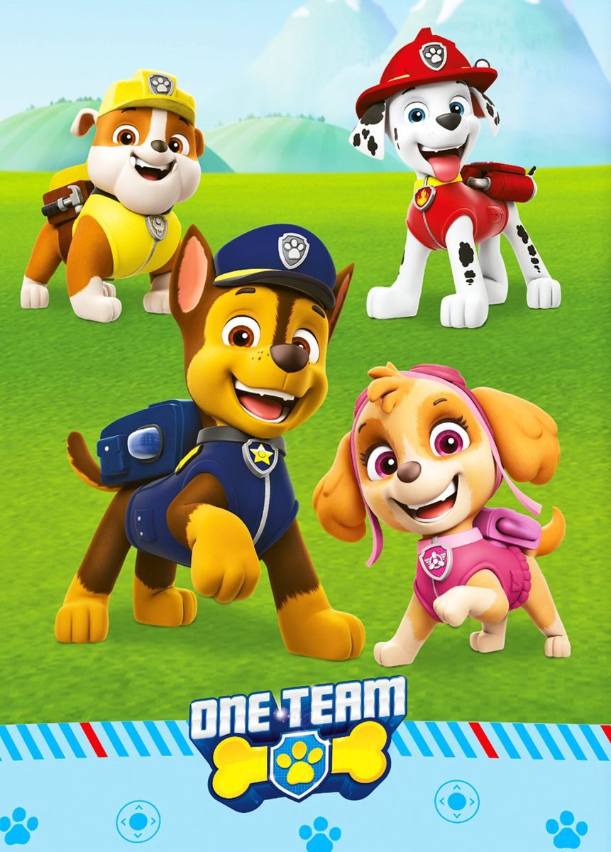 Herding Kinderbettwäsche 135x200cm Paw Patrol Hunde günstig online kaufen