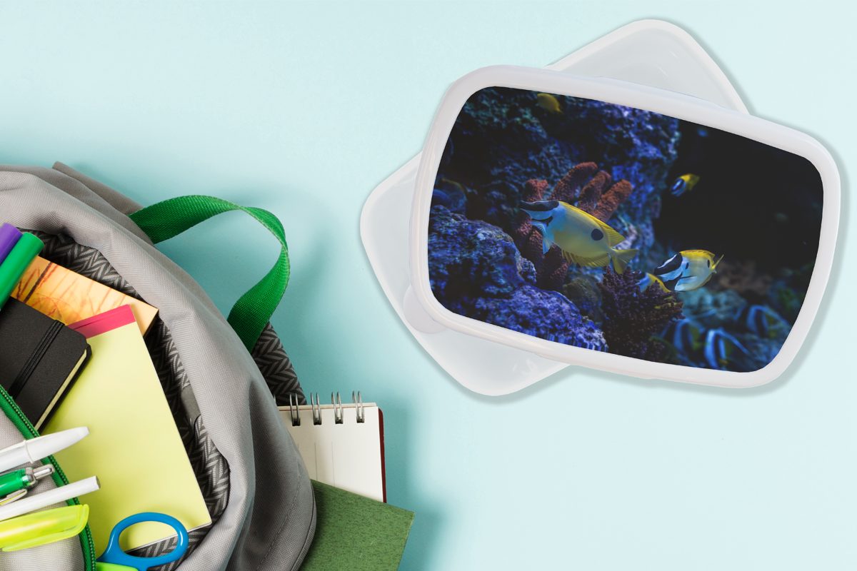 einem Kinder in (2-tlg), und für MuchoWow Aquarium Lunchbox Singapur., und Brotdose, für Jungs weiß Mädchen in Aquarienfische Kunststoff, Brotbox Erwachsene,