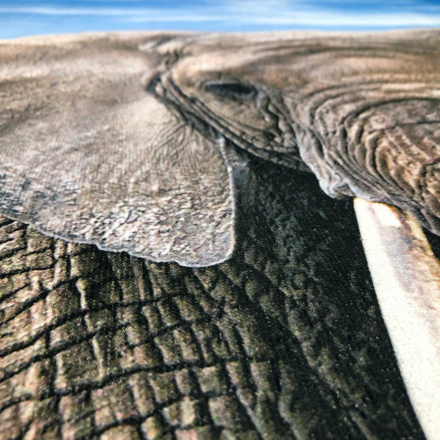 ESPiCO Strandtuch Elefant, Frottee-Velour (1-St), Safari, Wildnis, Tierwelt