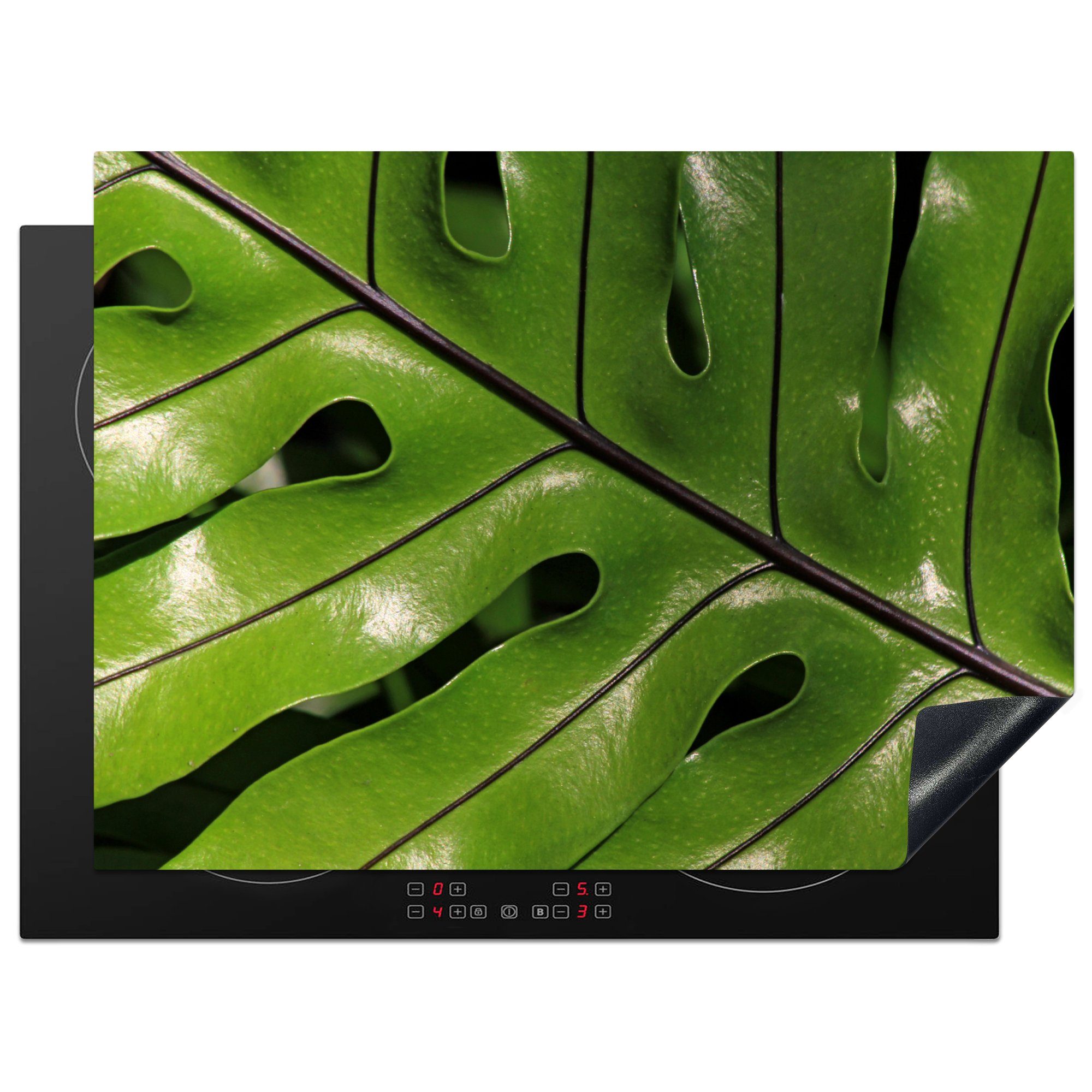 in der Tropische Blätter Arbeitsfläche Herdblende-/Abdeckplatte leuchten 70x52 MuchoWow tlg), Vinyl, Sonne, (1 botanische cm, Ceranfeldabdeckung Mobile nutzbar,