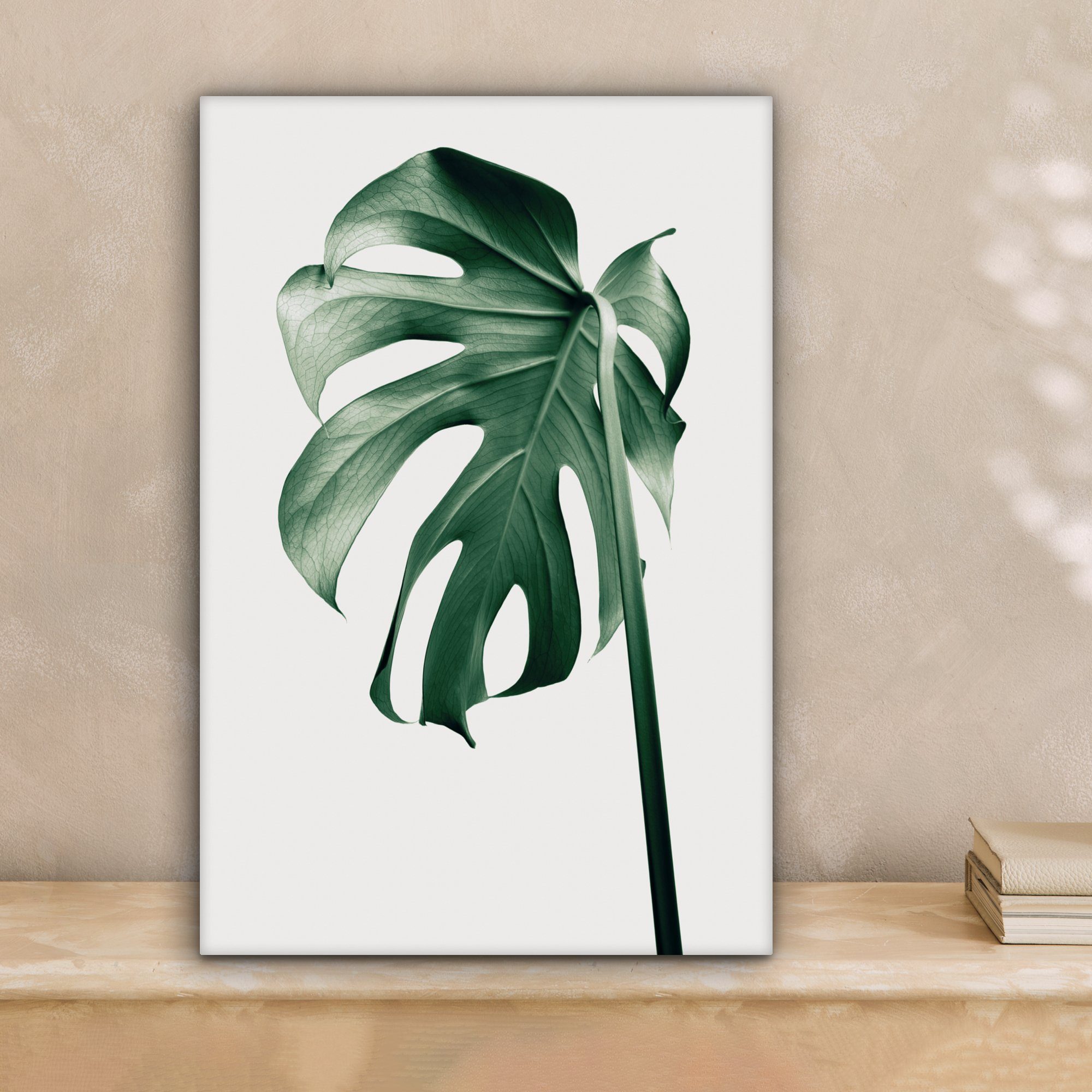 OneMillionCanvasses® Leinwandbild Monstera - Blätter - günstig online kaufen