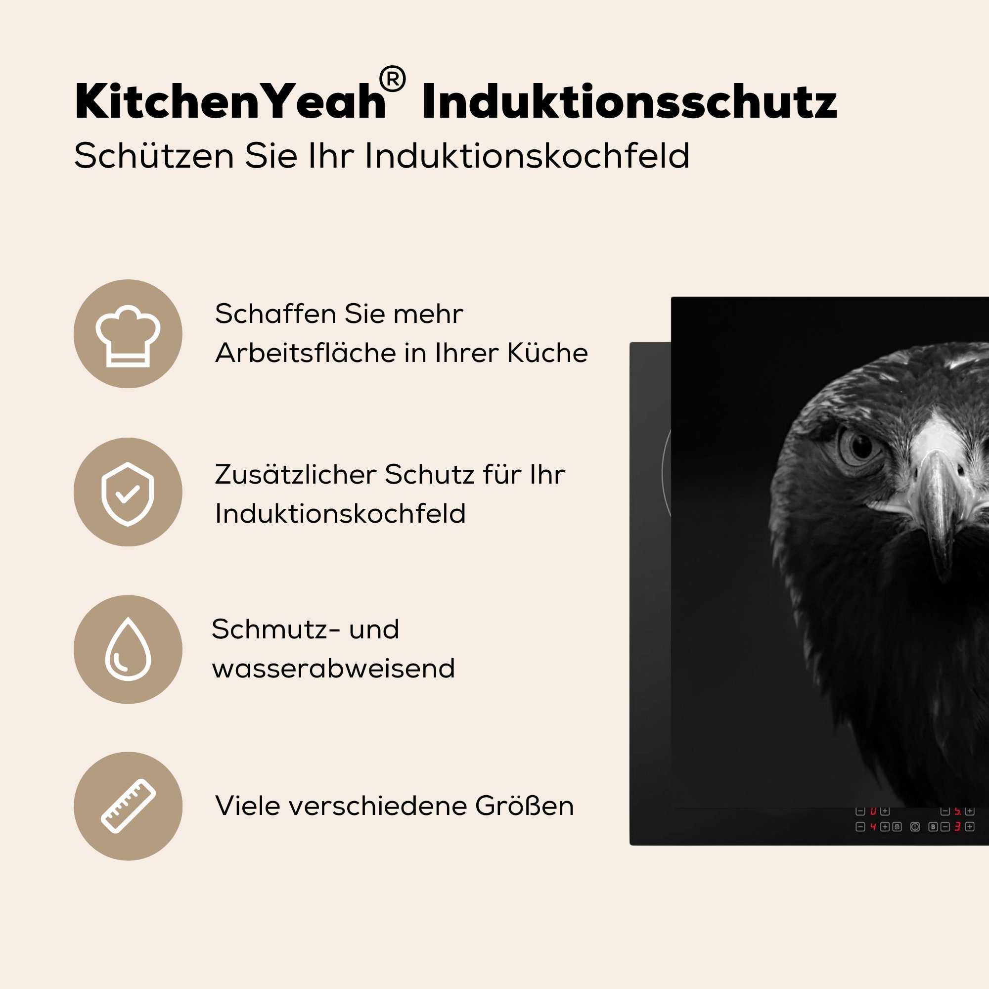 tlg), Vogel Herdblende-/Abdeckplatte Arbeitsplatte - für - - Schwarz MuchoWow Ceranfeldabdeckung, Vinyl, cm, küche (1 Bussard 81x52 - Weiß, Tiere