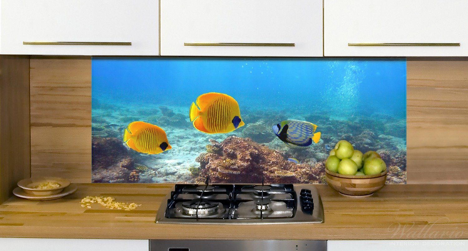 Küchenrückwand Wallario Bunte Fische im (1-tlg) Meer,