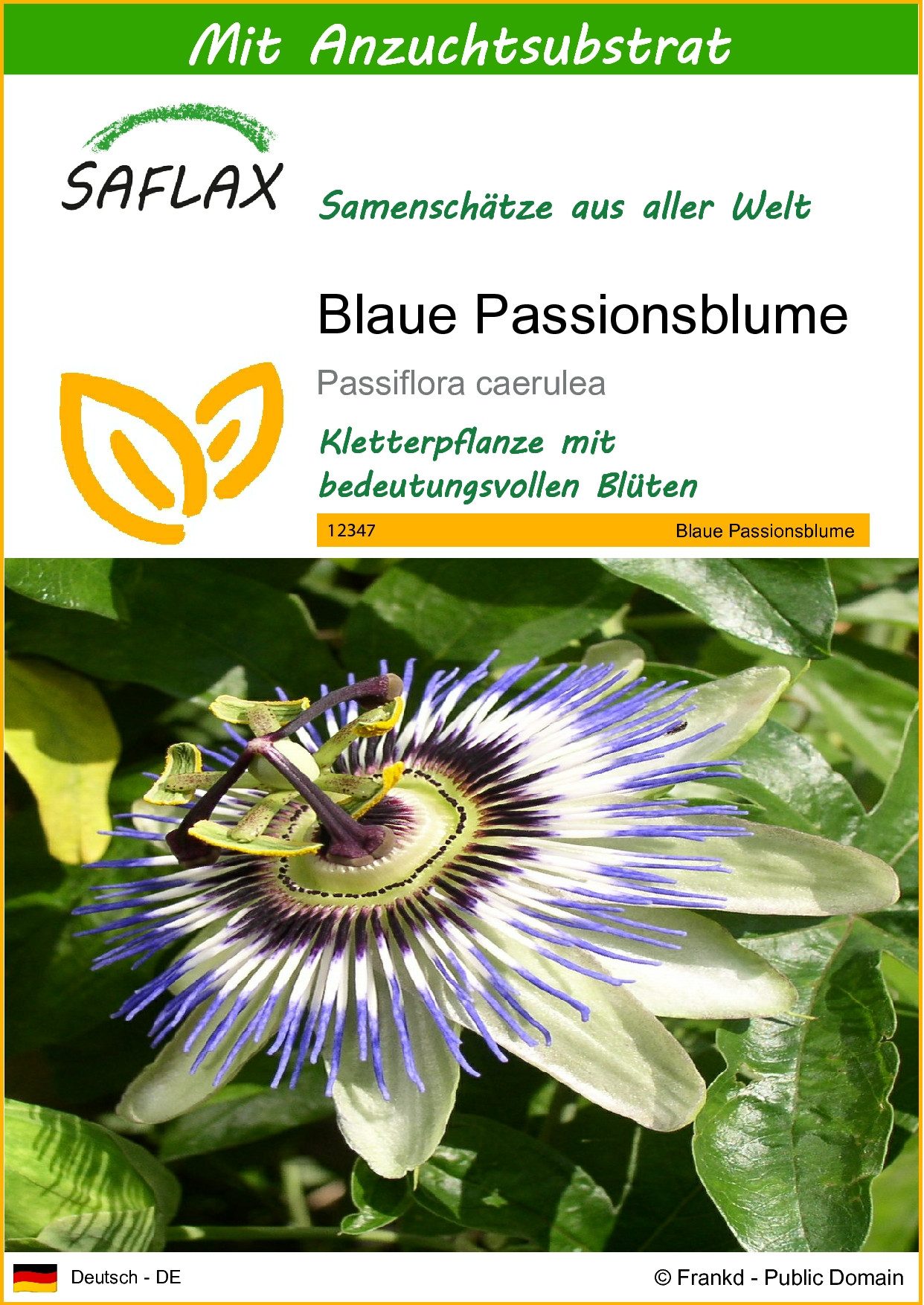 SAFLAX Blumensamen SAFLAX - Samen und Substrat - Blaue Passionsblume