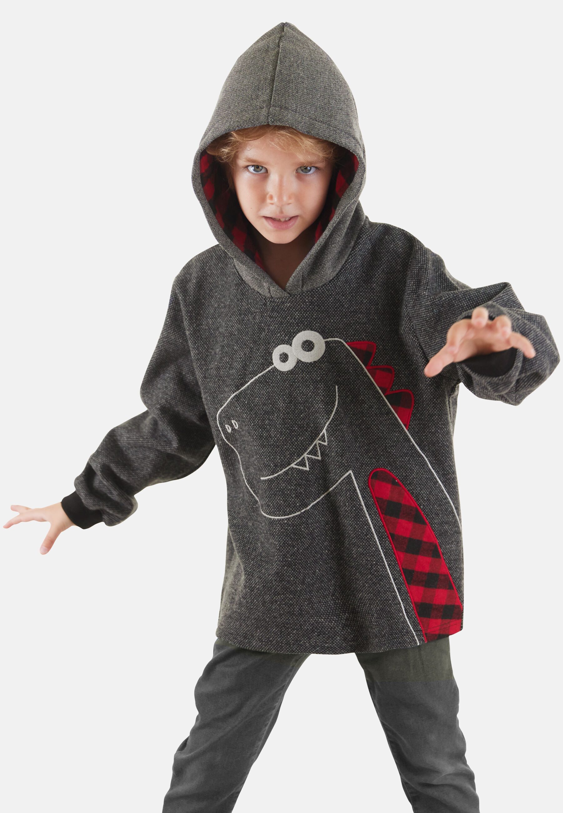 Denokids Kapuzenpullover Check Dino (1-tlg) mit Dinosaurier-Stickerei