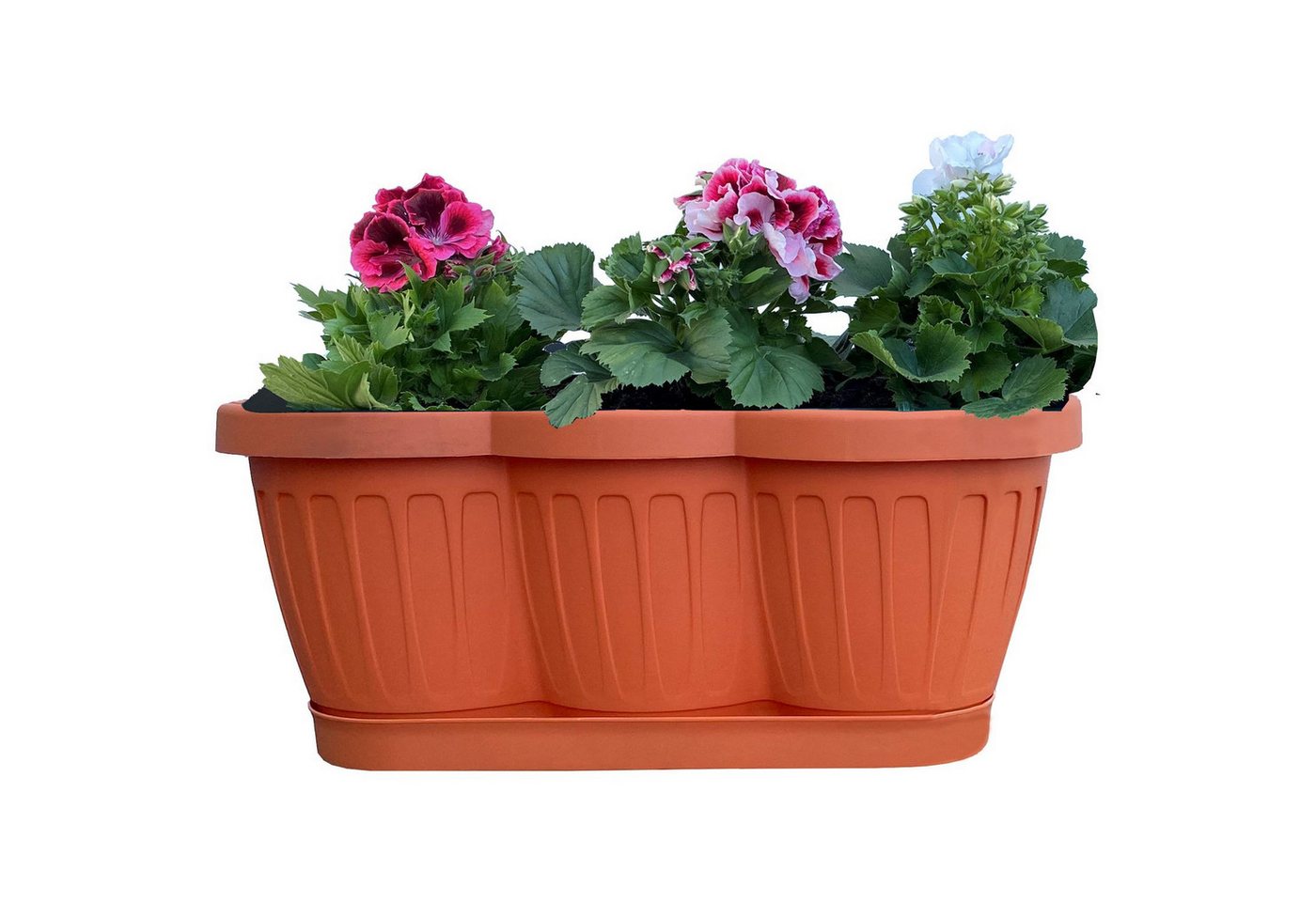 Thumbnail - BURI Blumenkasten 6er Set 40cm Blumenkasten Pflanzkasten Terracotta mit Bewässerung