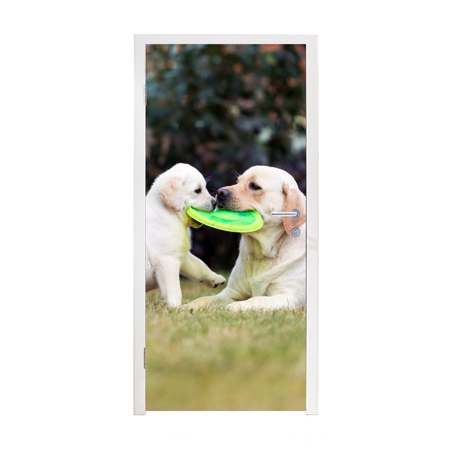 MuchoWow Türtapete Hund mit seinem Welpen und einem Frisbee, Matt, bedruckt, (1 St), Fototapete für Tür, Türaufkleber, 75x205 cm