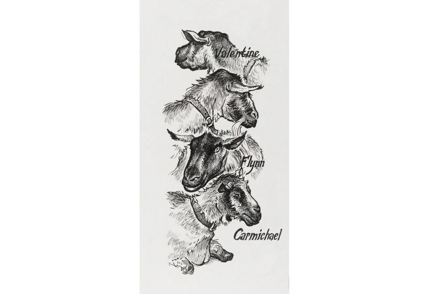 Thumbnail - Faber-Castell Künstlerstift Faber-Castell Pitt Artist Pen Tintenschreiber - Farbe 199 - 4er Etui