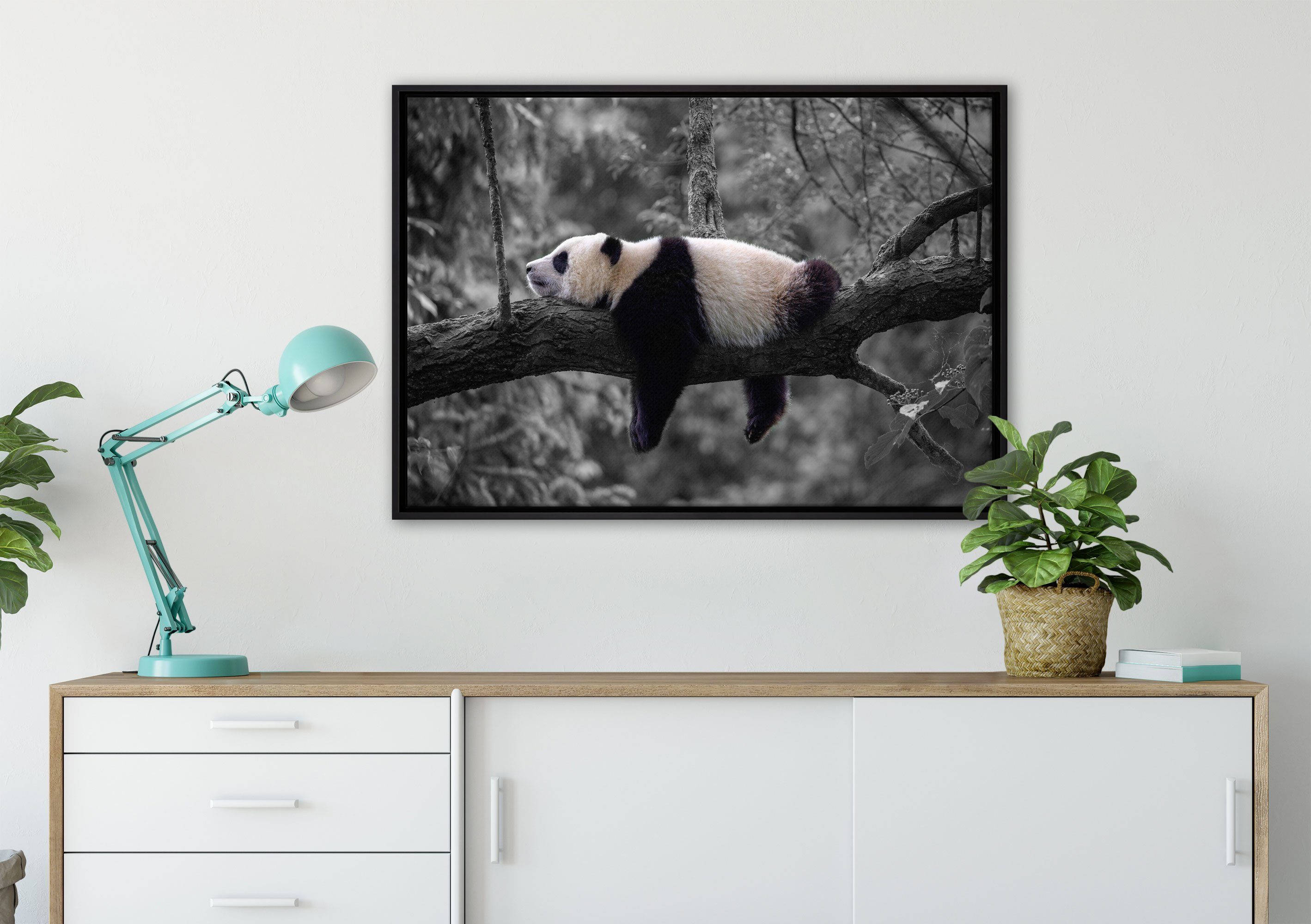Detail, fertig Schlafender inkl. Zackenaufhänger Panda bespannt, in St), Schattenfugen-Bilderrahmen Baumstamm auf einem Wanddekoration Leinwandbild Leinwandbild (1 B&W Pixxprint gefasst,