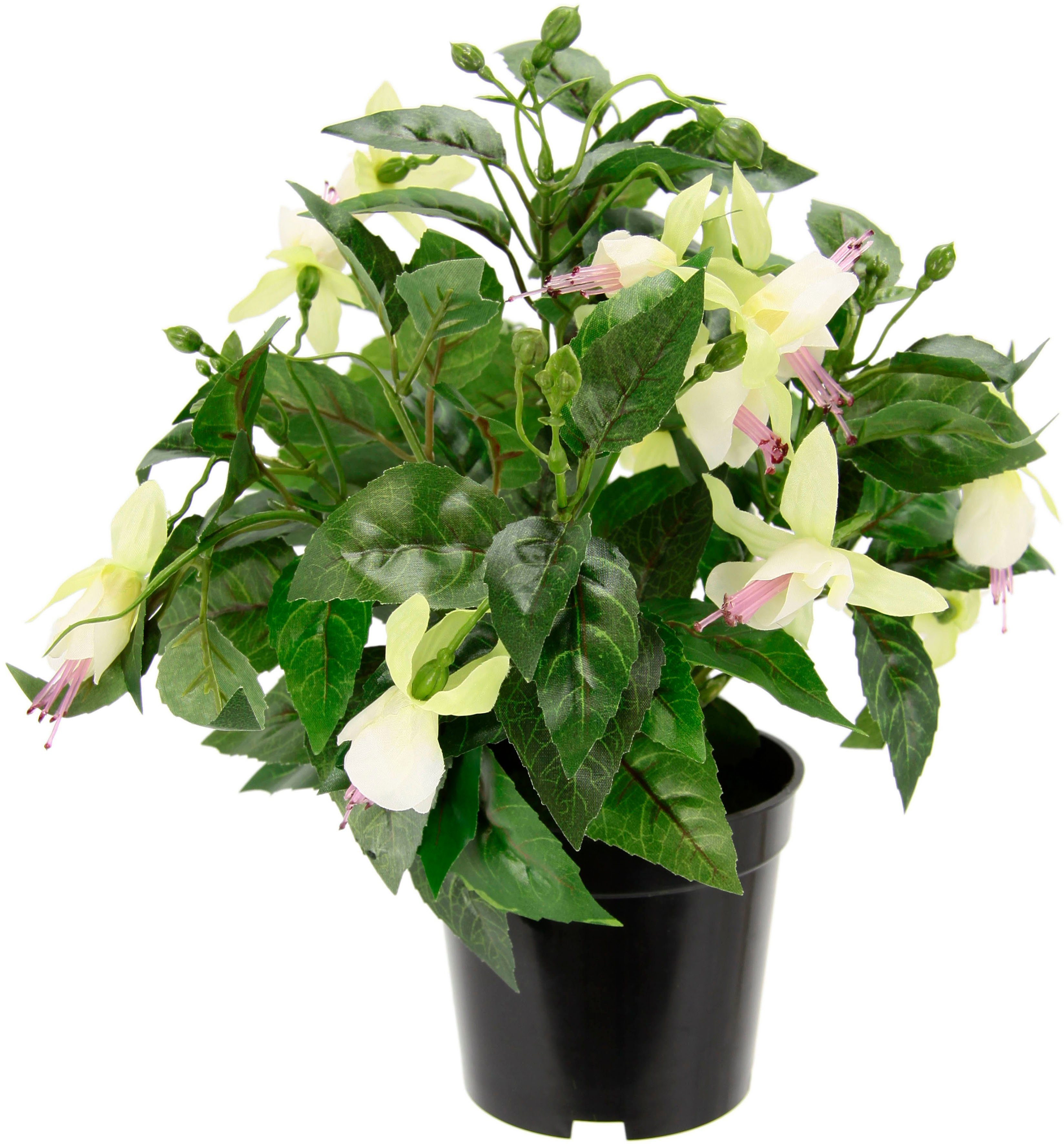 Kunstblume Fuchsien, I.GE.A., Höhe 30 cm, günstig online kaufen