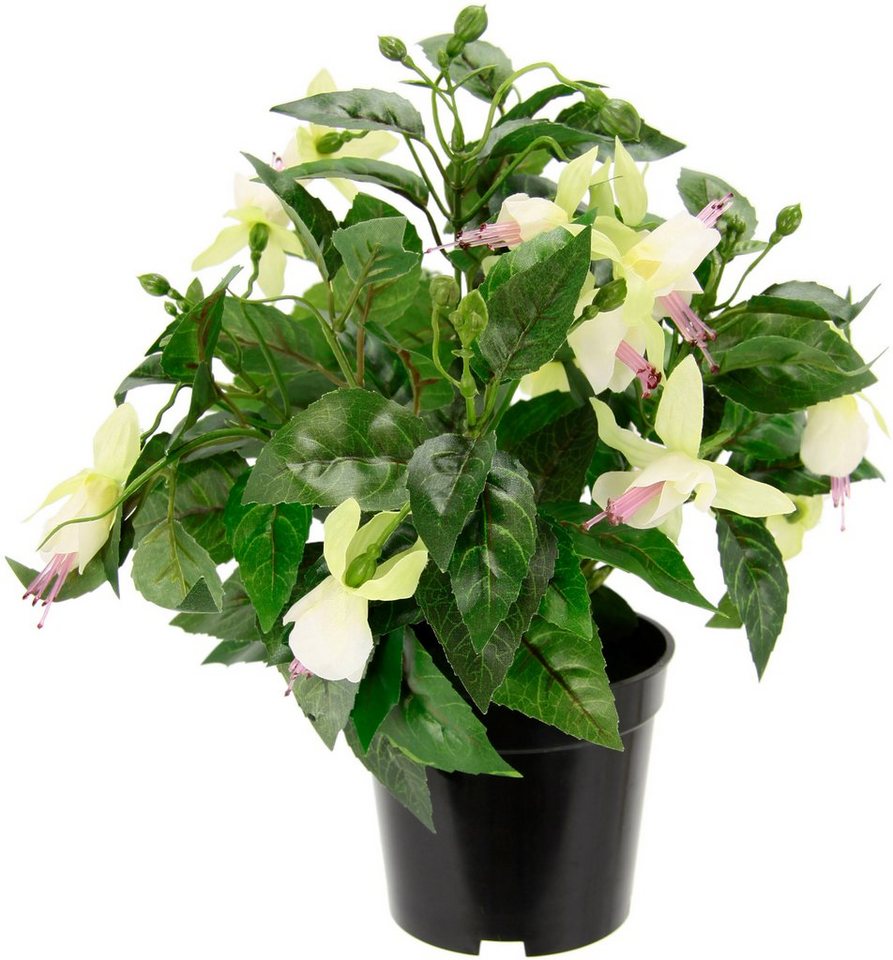 Kunstblume Fuchsien, I.GE.A., Höhe 80 cm, Im Topf Zimmerpflanze Deko  Doppelblütenblätter Topfpflanze Hybrid Hort