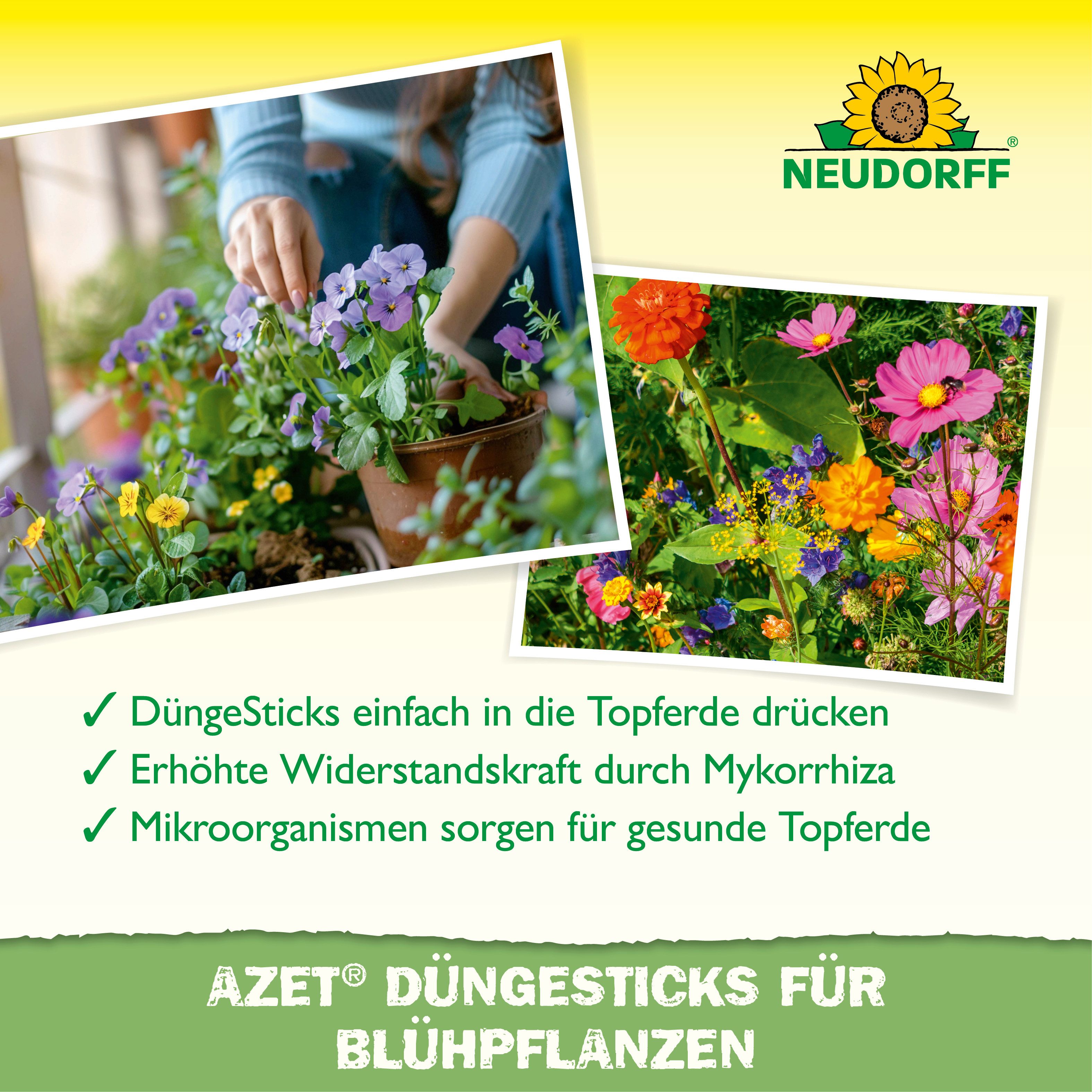 Neudorff Pflanzendünger Azet DüngeSticks für Blühpflanzen 40 Sticks, Organische Düngestäbchen speziell für Blühpflanzen, Mit Mikroorganismen & Mykorrhiza für be – Bild 4 von 5