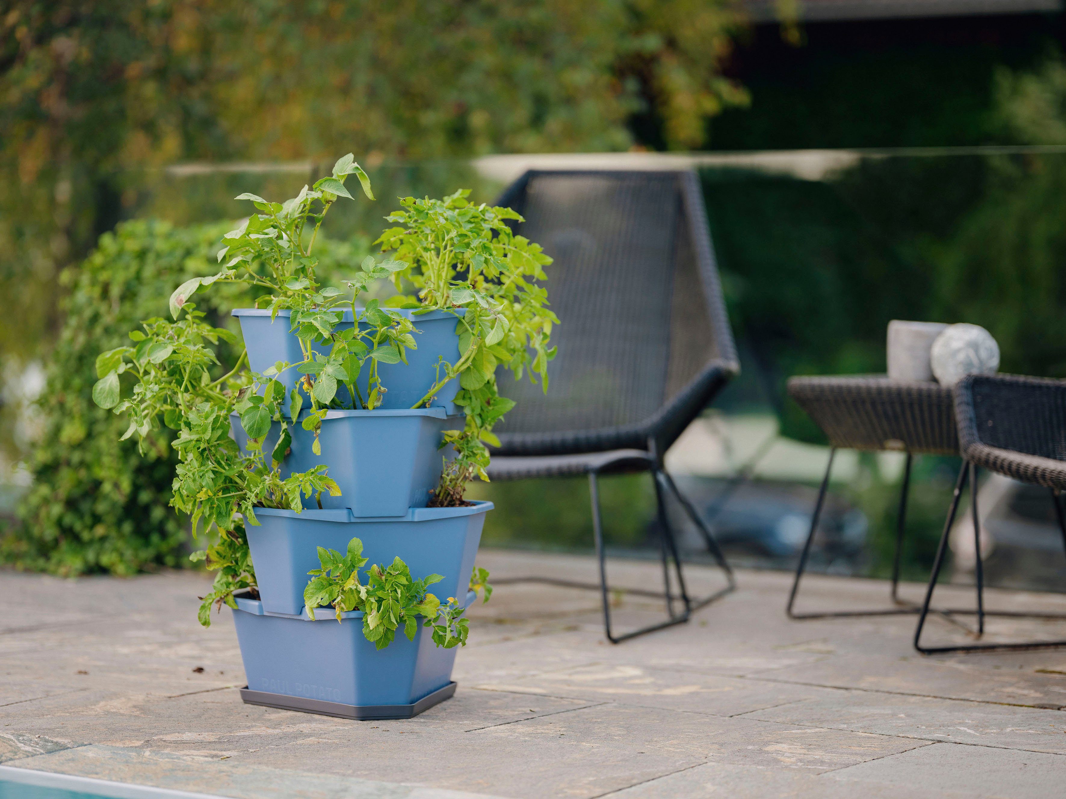 blau stapelbar, Kartoffelturm, von Gusta Anbau POTATO Garden inkl. Kartoffeln Etagen 4 Untersetzer, Pflanzkübel simpler PAUL