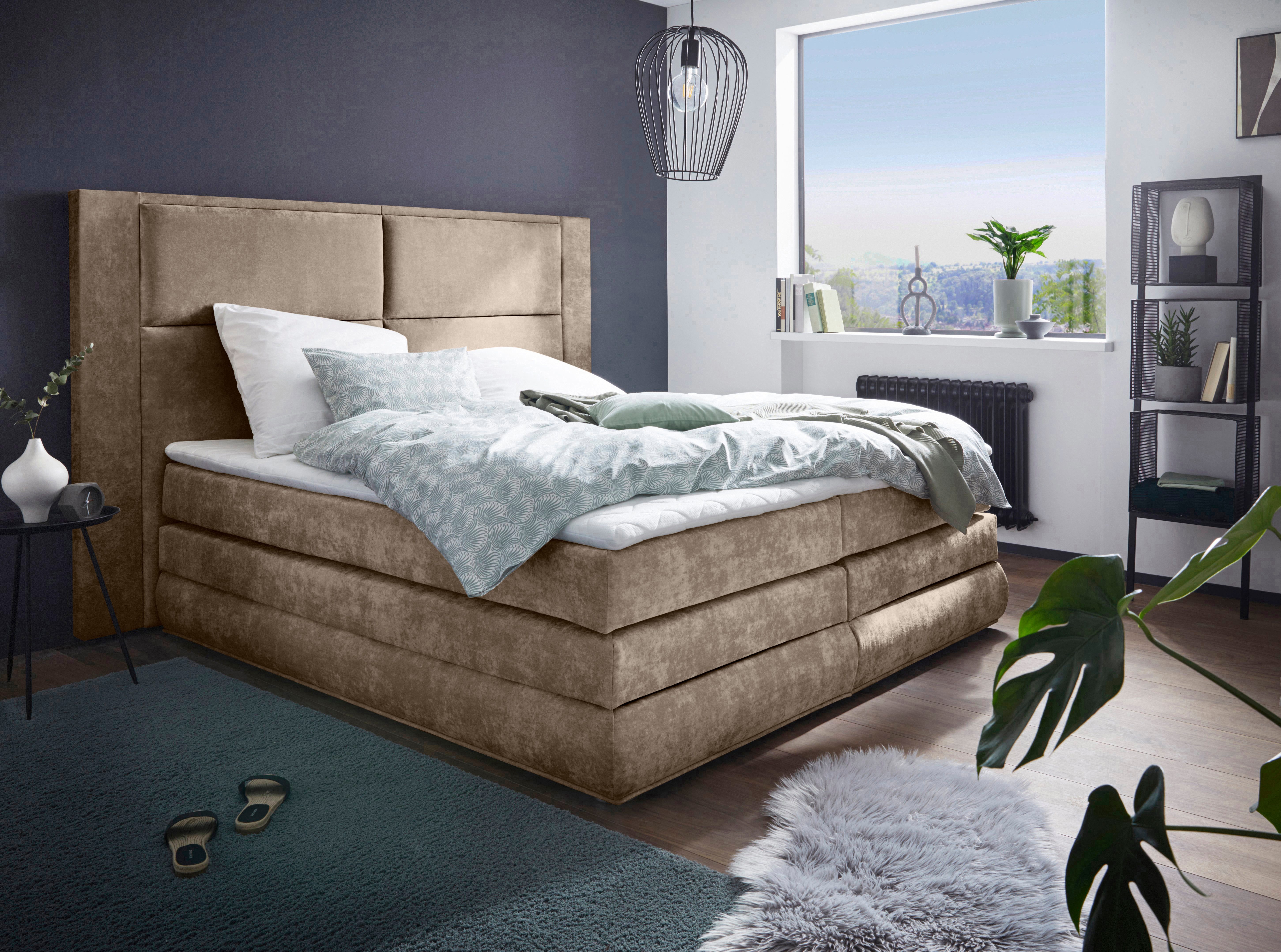 COLLECTION AB Boxspringbett Copenhagen, inklusive Bettkasten, günstig online kaufen