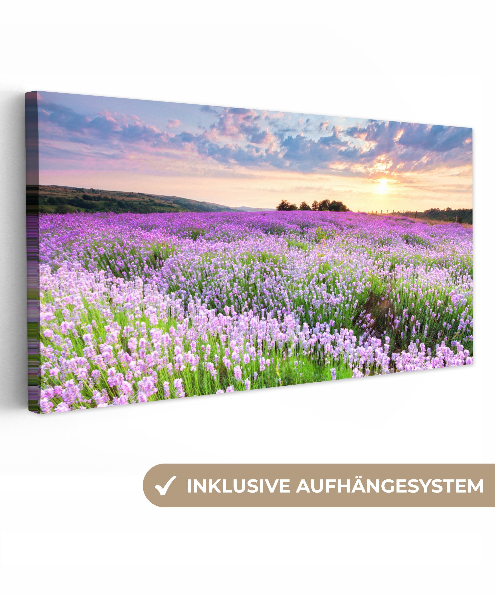 OneMillionCanvasses® Leinwandbild Panorama Lavendel - Blumen - Sonnenunterg günstig online kaufen