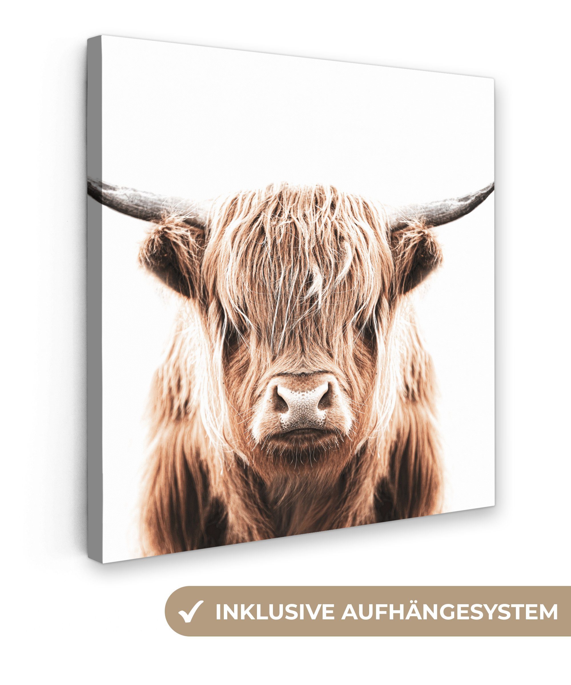 OneMillionCanvasses® Leinwandbild Tiere (1 für - Wohnzimmer 20x20 Schottischer St), cm Leinwand Highlander - Bilder Kuh, Schlafzimmer