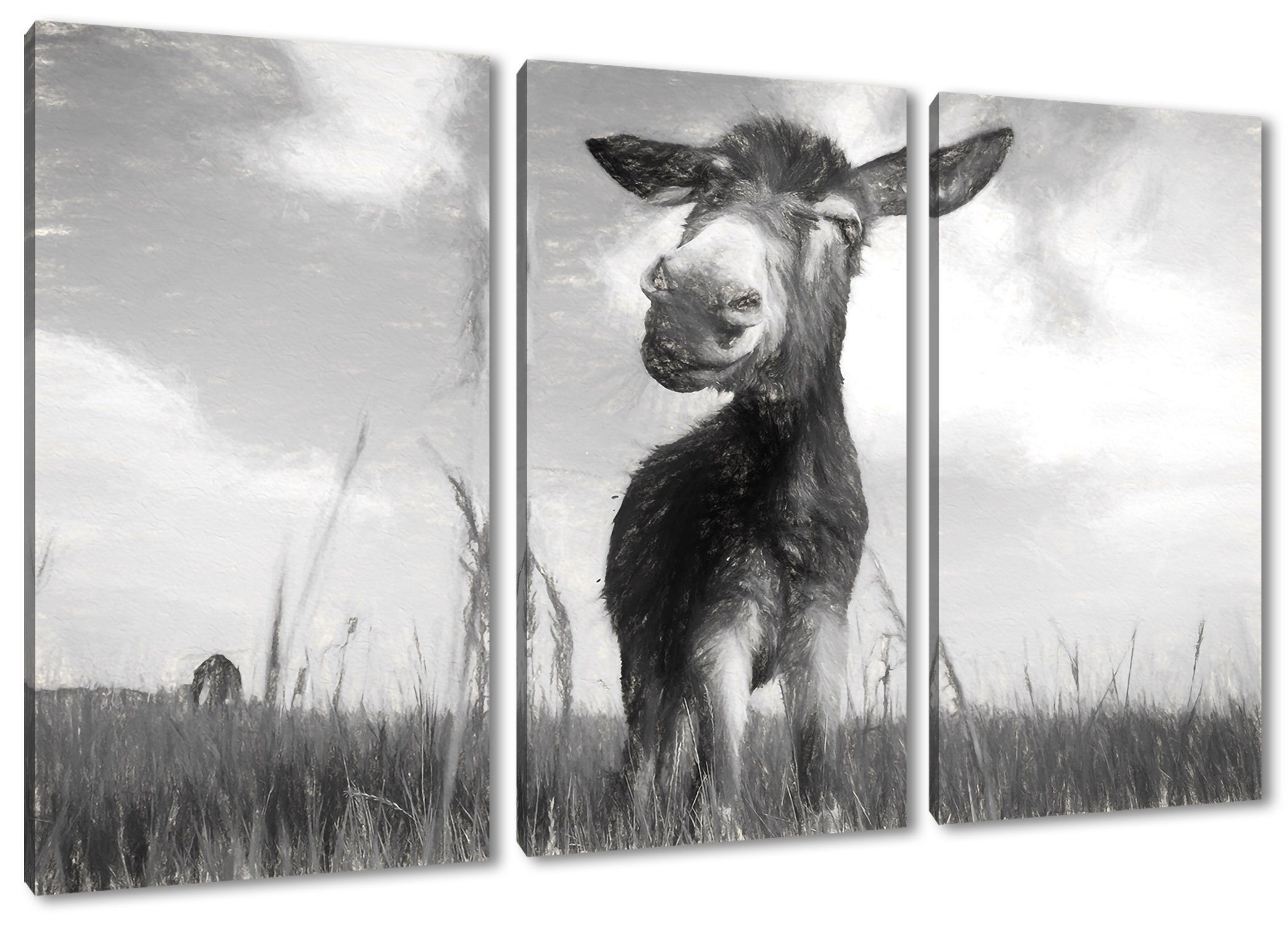 Pixxprint Leinwandbild Esel im Feld, Esel im Feld 3Teiler (120x80cm) (1 St), Leinwandbild fertig bespannt, inkl. Zackenaufhänger