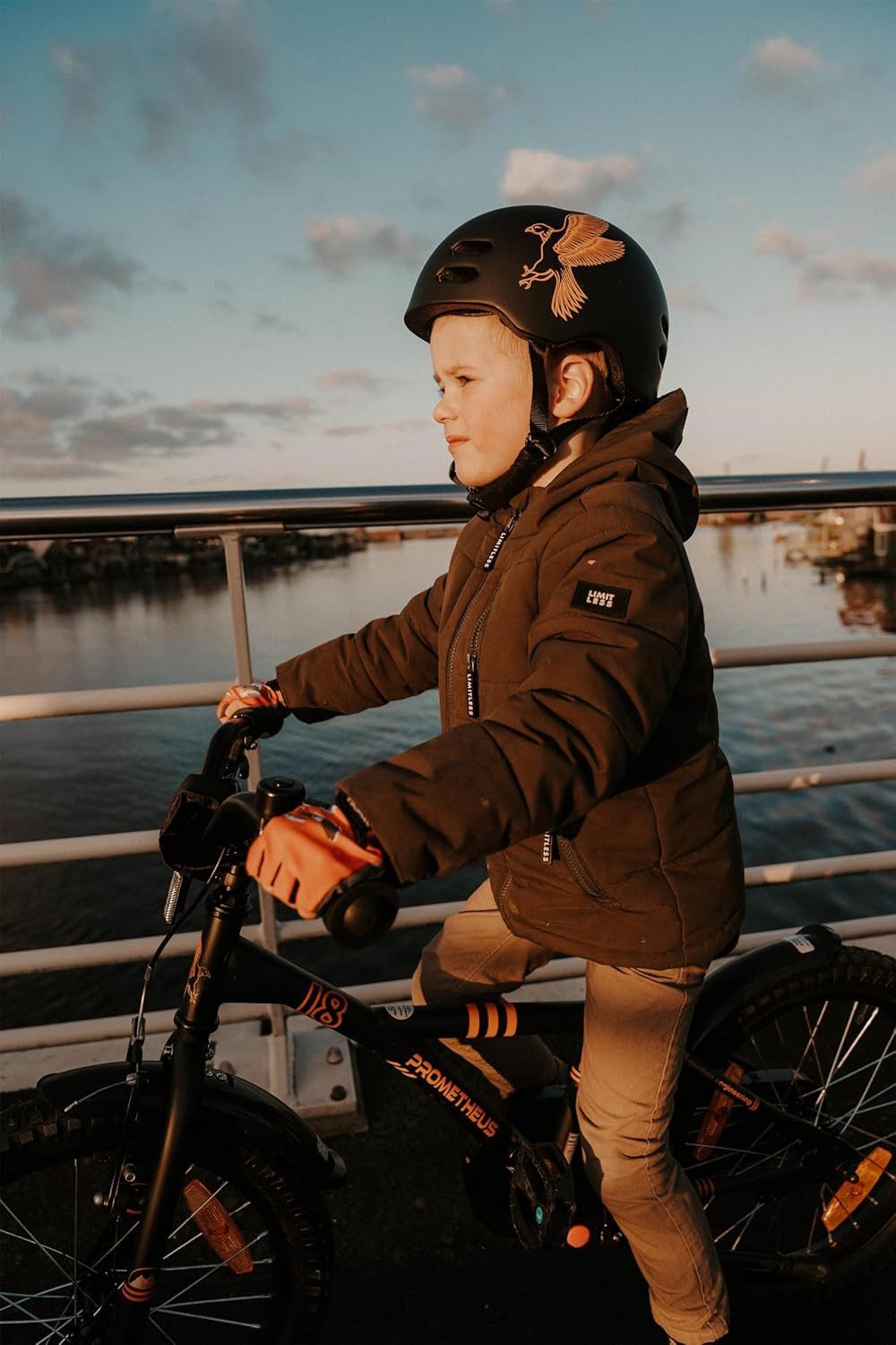 PROMETHEUS BICYCLES Kinderfahrrad HAWK 14 Zoll ab 4 Jahre, 1 Gang, Junge Mädchen Fahrrad Kinder mit Rücktrittbremse Stützräder