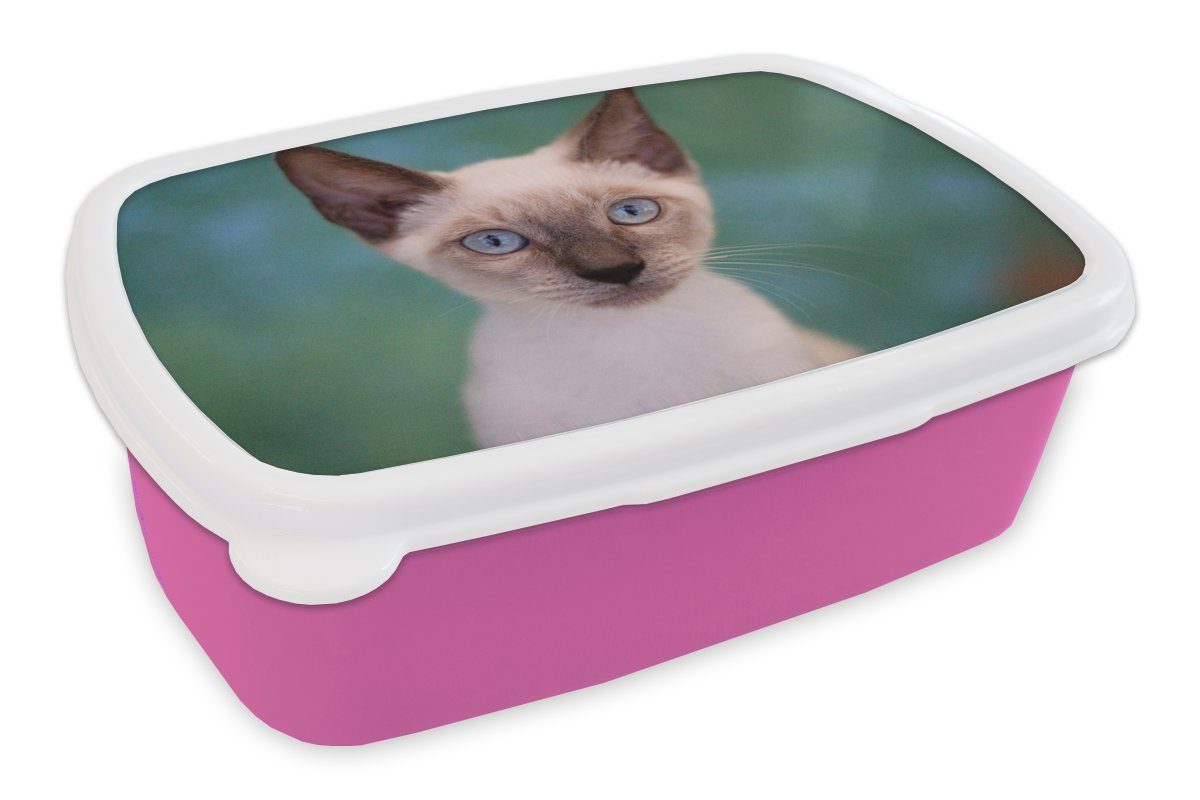 Kunststoff, (2-tlg), für Nahaufnahme einer Kinder, Siamkatze, Brotbox Erwachsene, Snackbox, MuchoWow Lunchbox Kunststoff Mädchen, Brotdose rosa