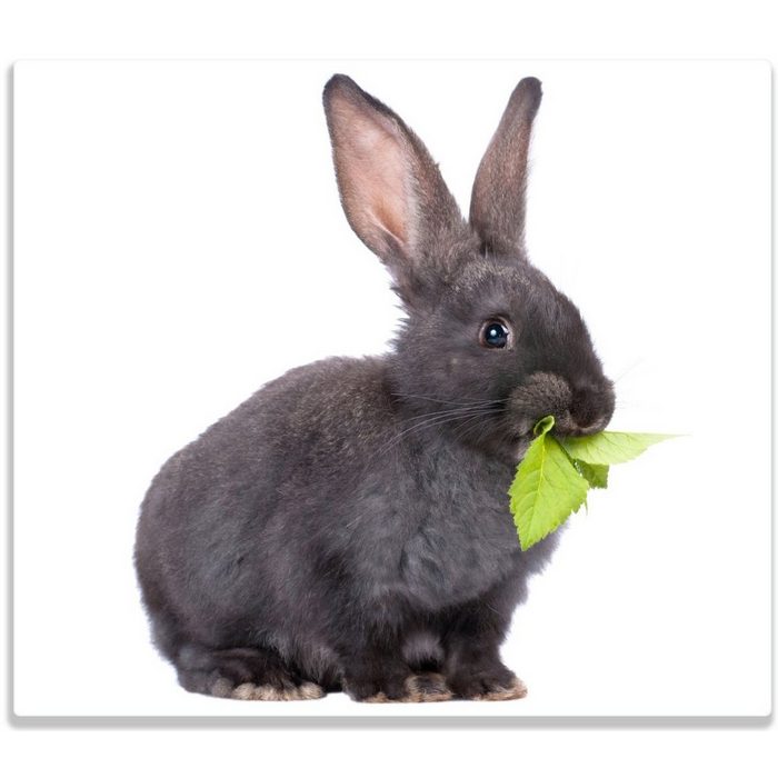 Wallario Herd-Abdeckplatte Süßes Kaninchen mit Grünzeug beim Futtern ESG-Sicherheitsglas (Glasplatte 1 tlg. inkl. 5mm Noppen) verschiedene Größen