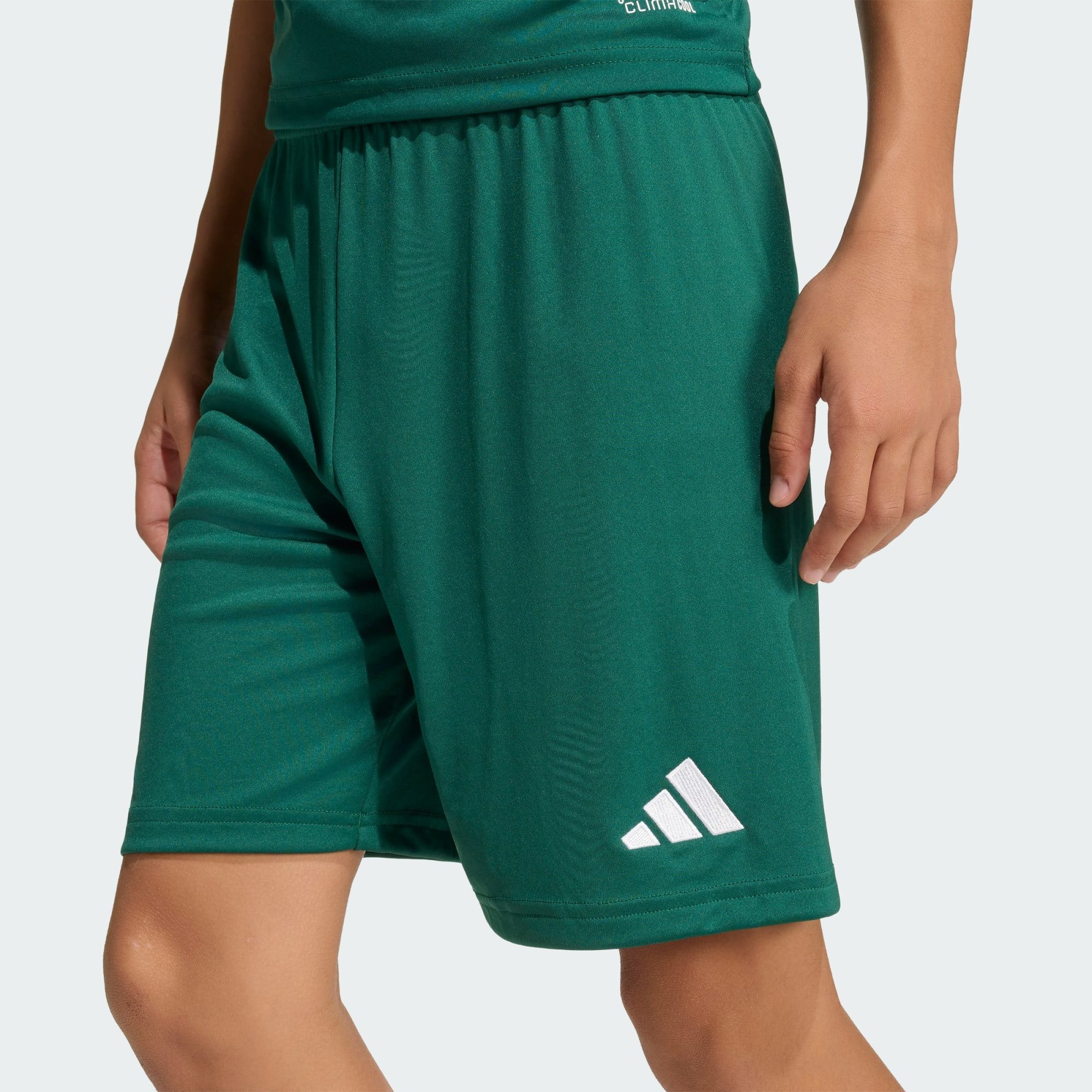 adidas Performance Shorts ENTRADA26 SHORTS KIDS (1-tlg)