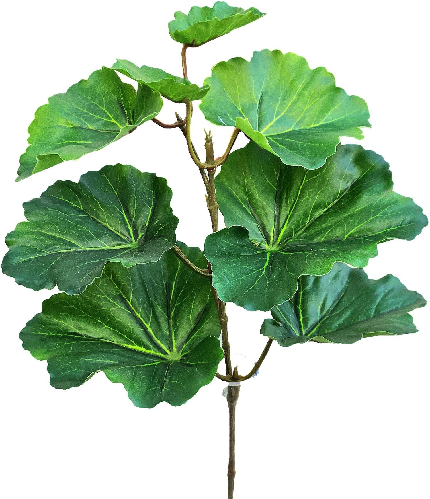 Kunstpflanze Geranienzweig künstlich 36 cm Real Touch Kunstpflanze Grün Geranie, H. Andreas Belles fleurs, Höhe 12 cm